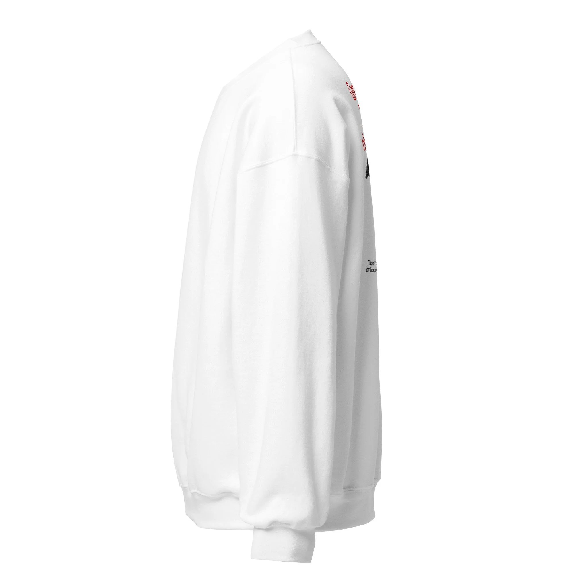 unisex-crew-neck-sweatshirt-white-left-69381786afc99.jpg