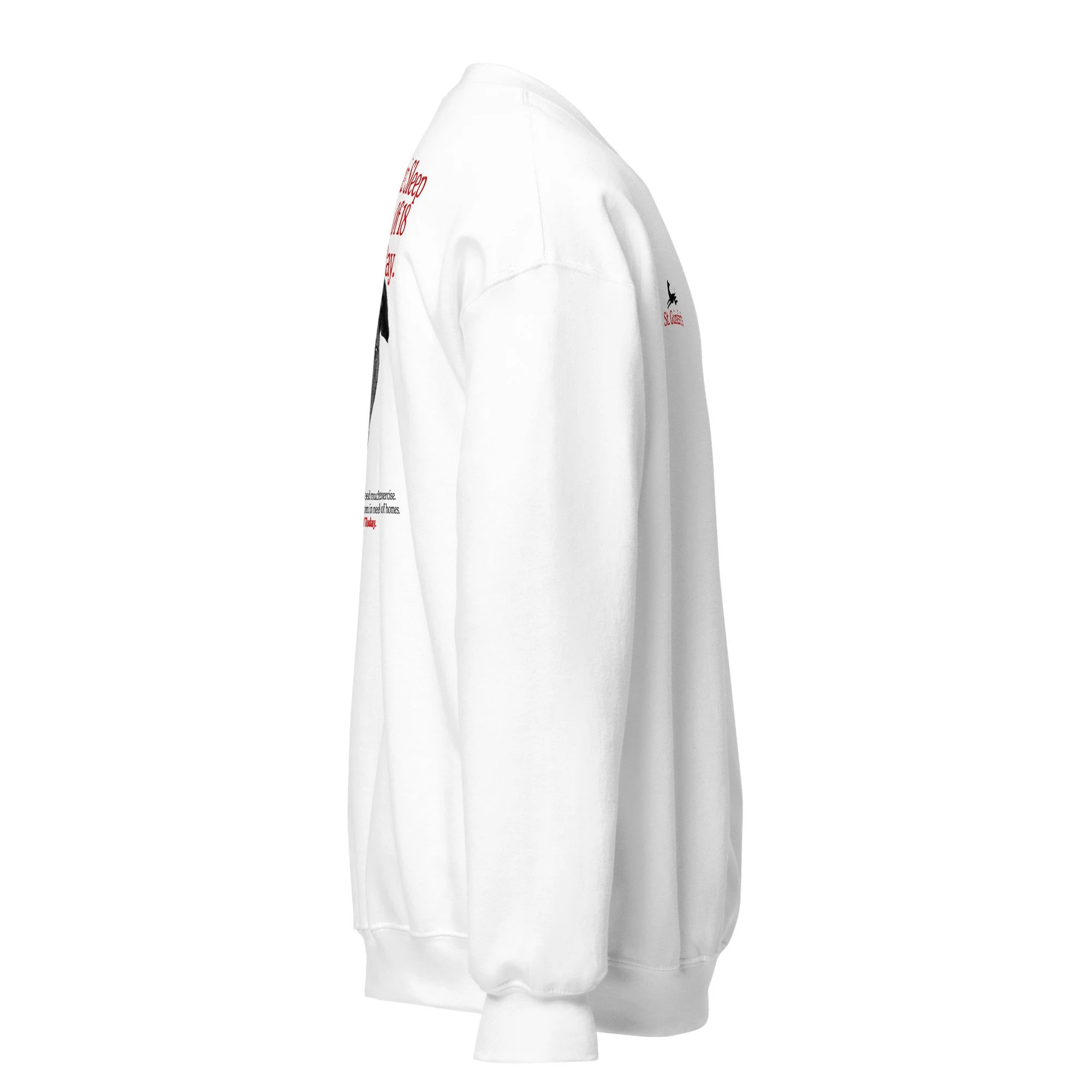 unisex-crew-neck-sweatshirt-white-right-69381786b0bc8.jpg