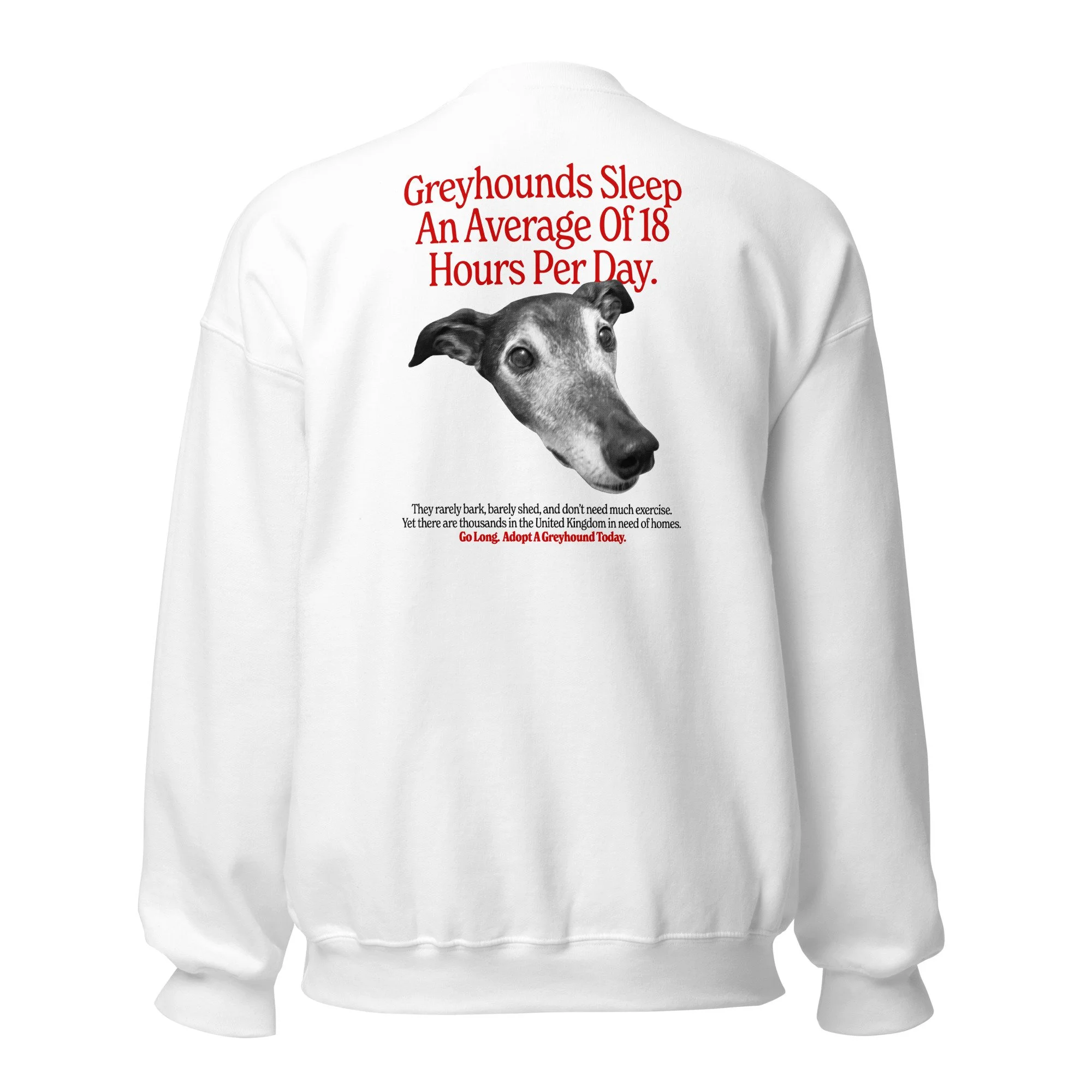 unisex-crew-neck-sweatshirt-white-back-69381af779b18.jpg