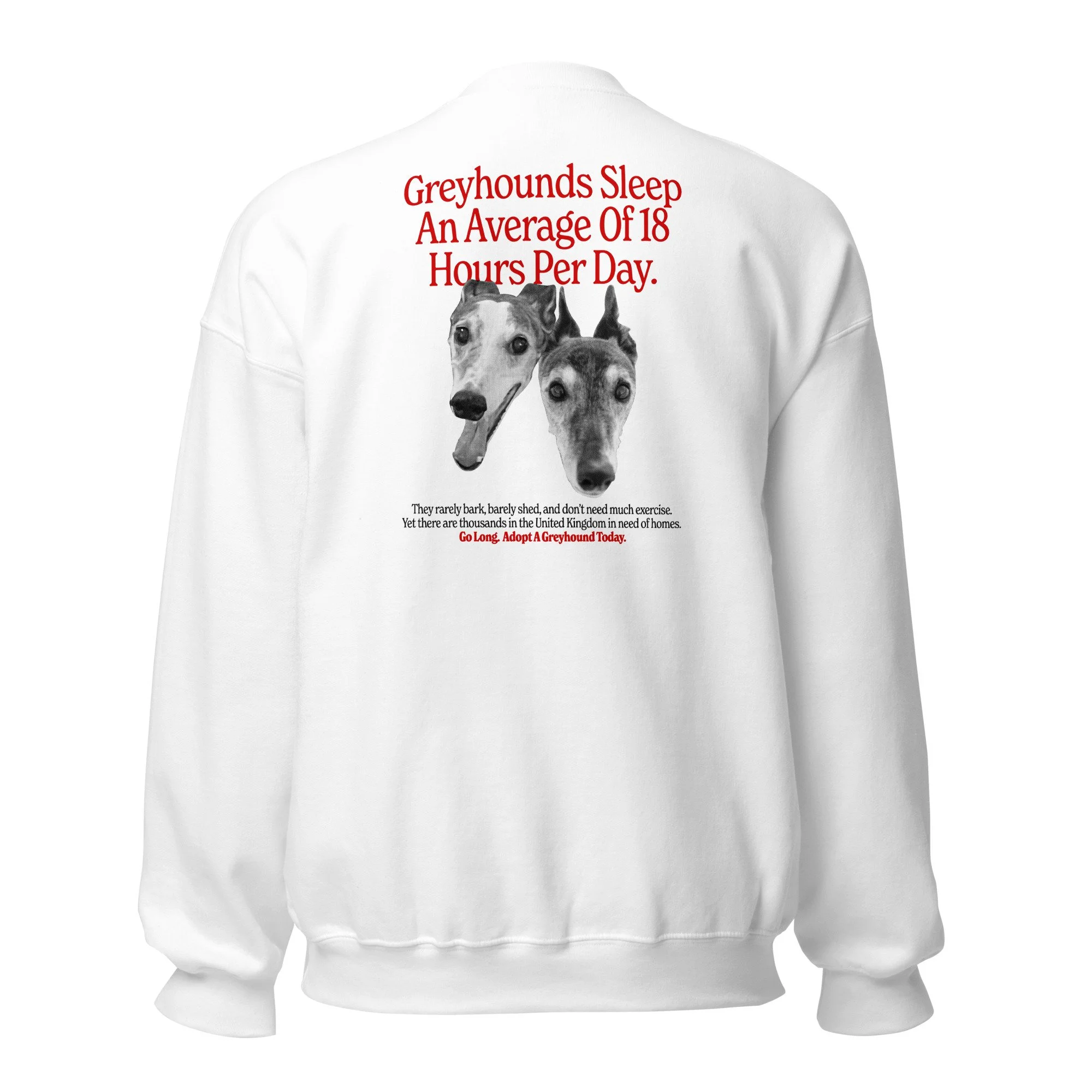 unisex-crew-neck-sweatshirt-white-back-693b13fa8399f.jpg