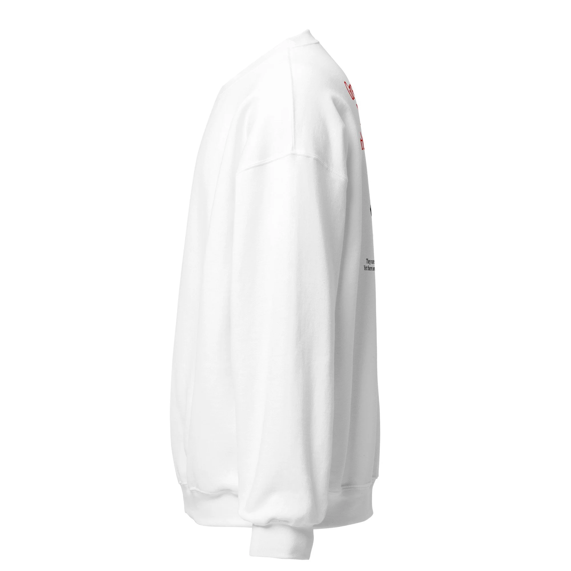 unisex-crew-neck-sweatshirt-white-left-693b13fa849b4.jpg