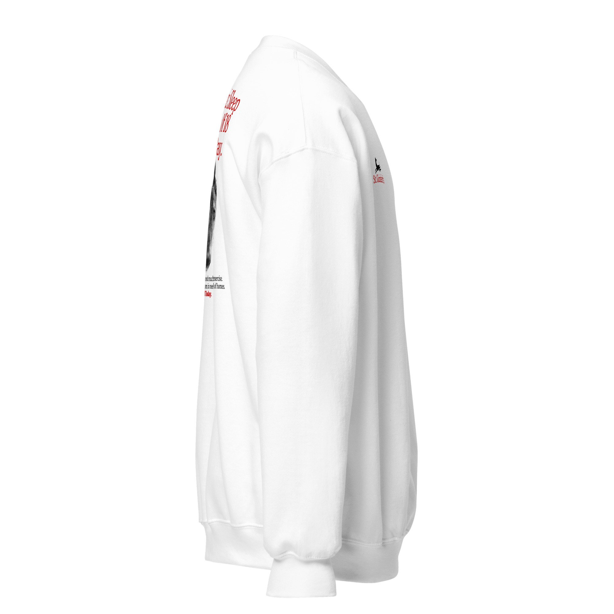 unisex-crew-neck-sweatshirt-white-right-693b13fa859e7.jpg
