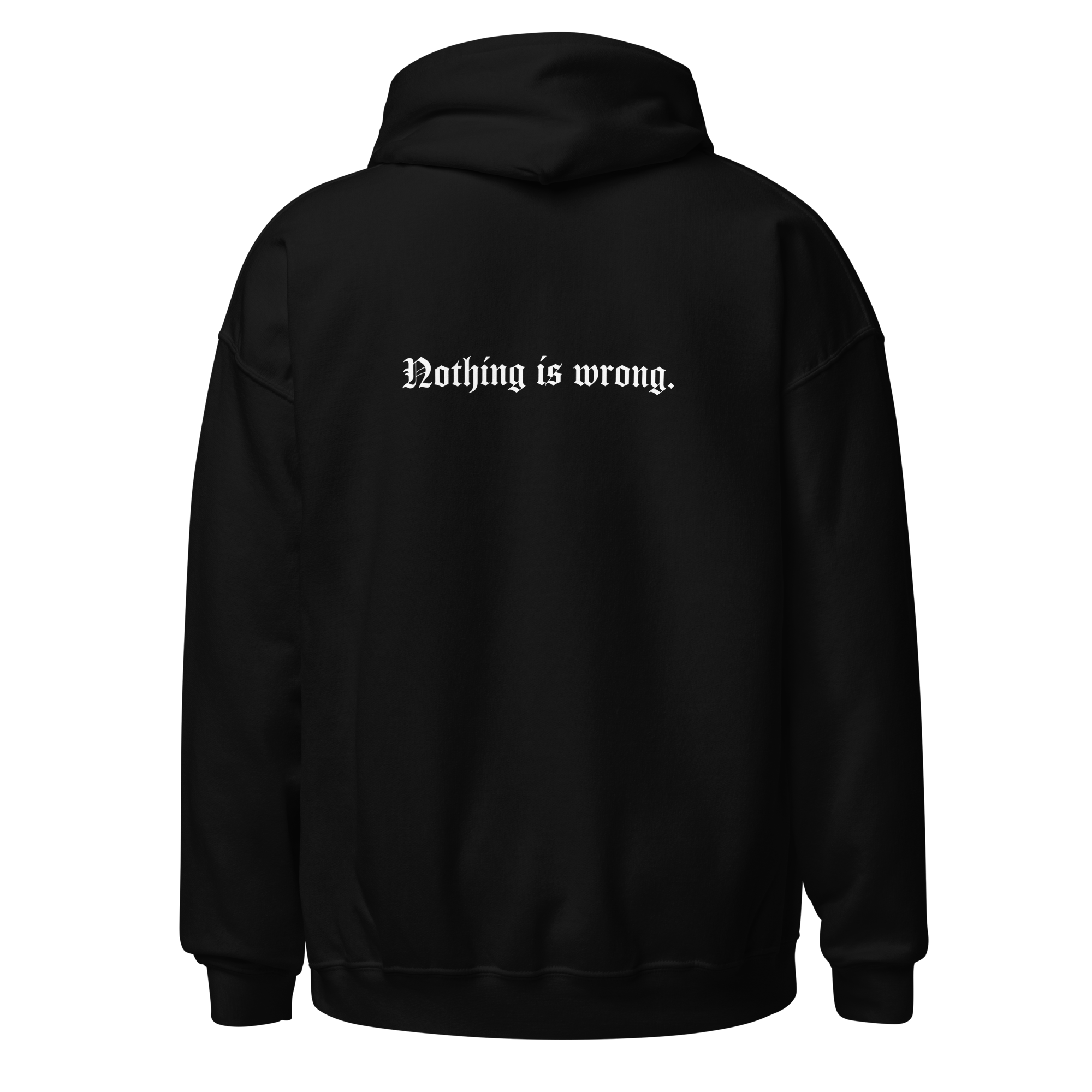 unisex-heavy-blend-hoodie-black-back-6a0c5a53eabf4.png