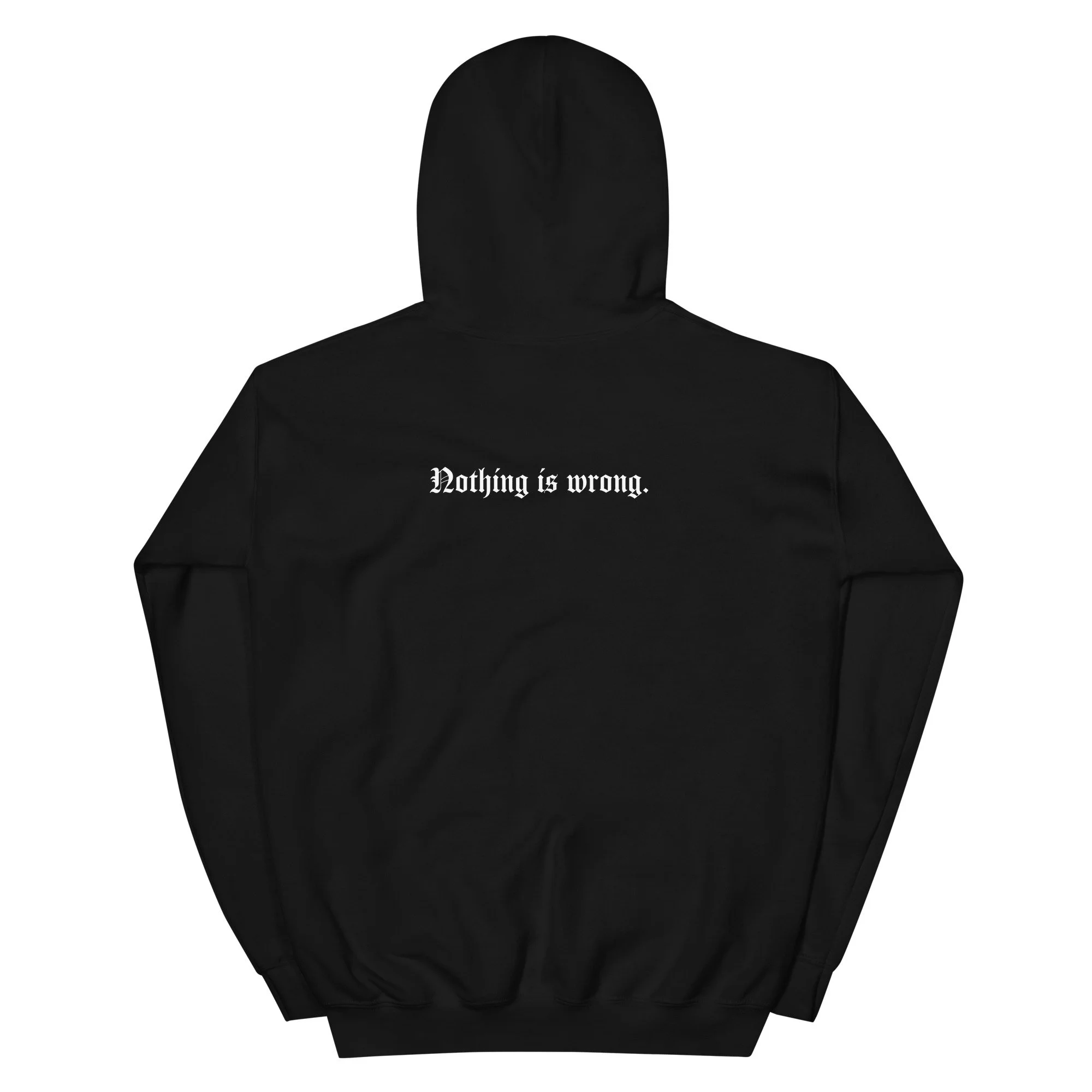 unisex-heavy-blend-hoodie-black-back-6a0c5d7e6df20.jpg