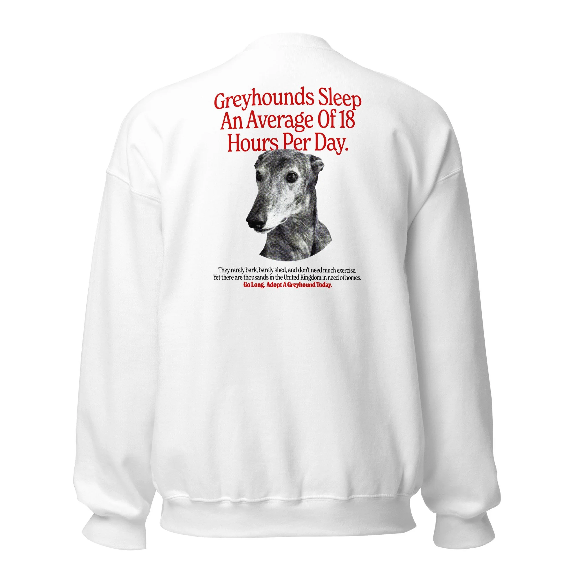 unisex-crew-neck-sweatshirt-white-back-6ac91af5cae16.jpg