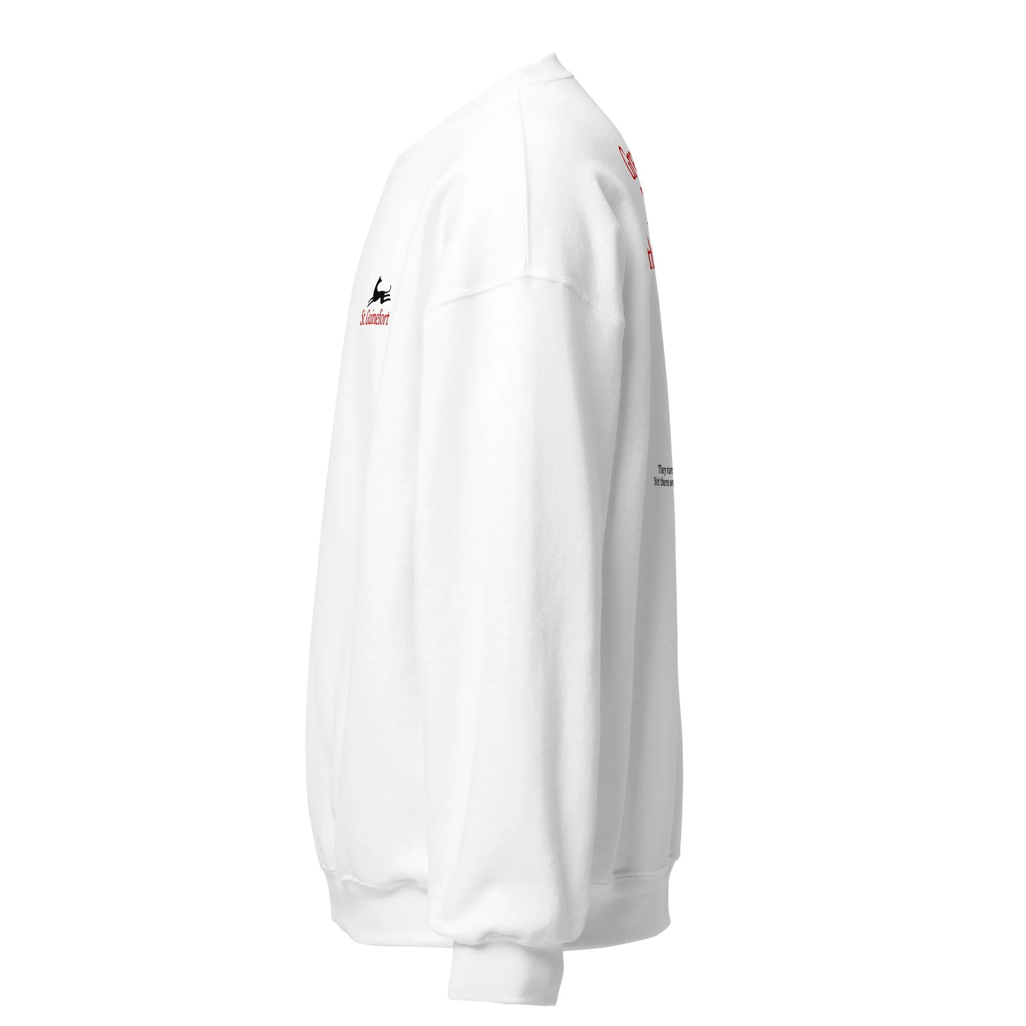 unisex-crew-neck-sweatshirt-white-left-6ac91af5cb3d4.jpg