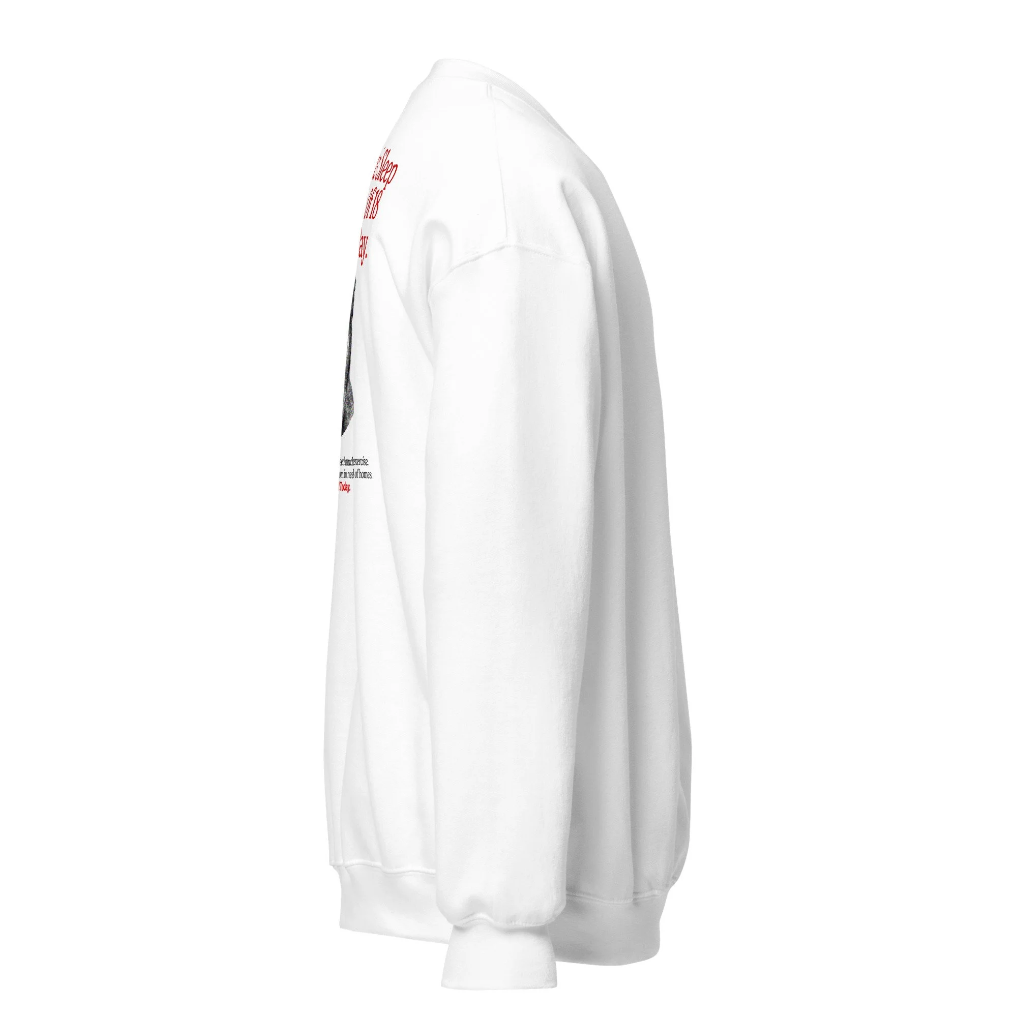 unisex-crew-neck-sweatshirt-white-right-6ac91af5cb94b.jpg