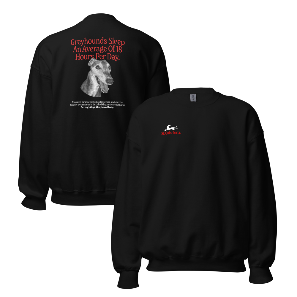 unisex-crew-neck-sweatshirt-black-front-and-back-691da66c115fc.png