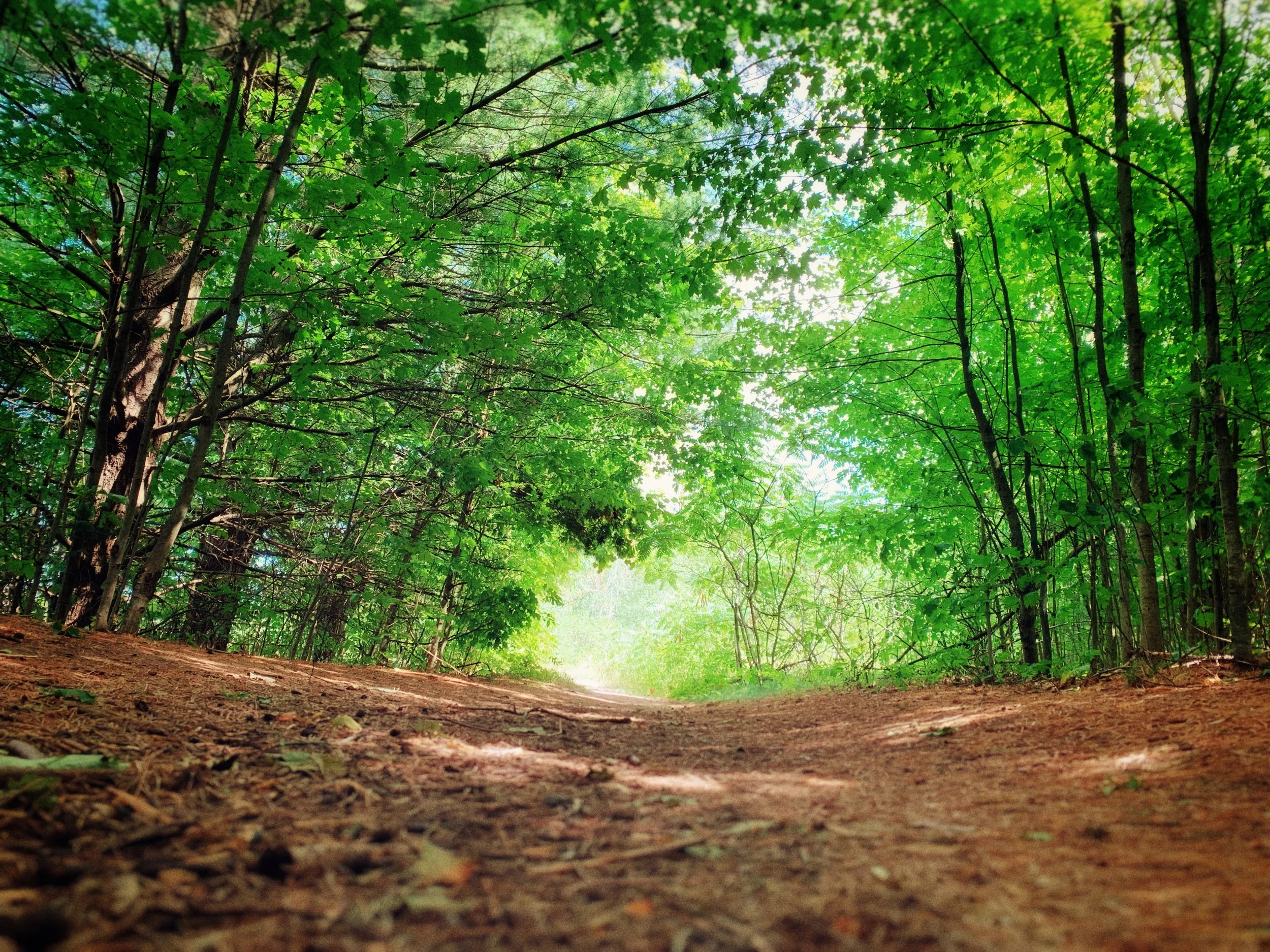 2020 Dockstader Foundation Grant Cycle