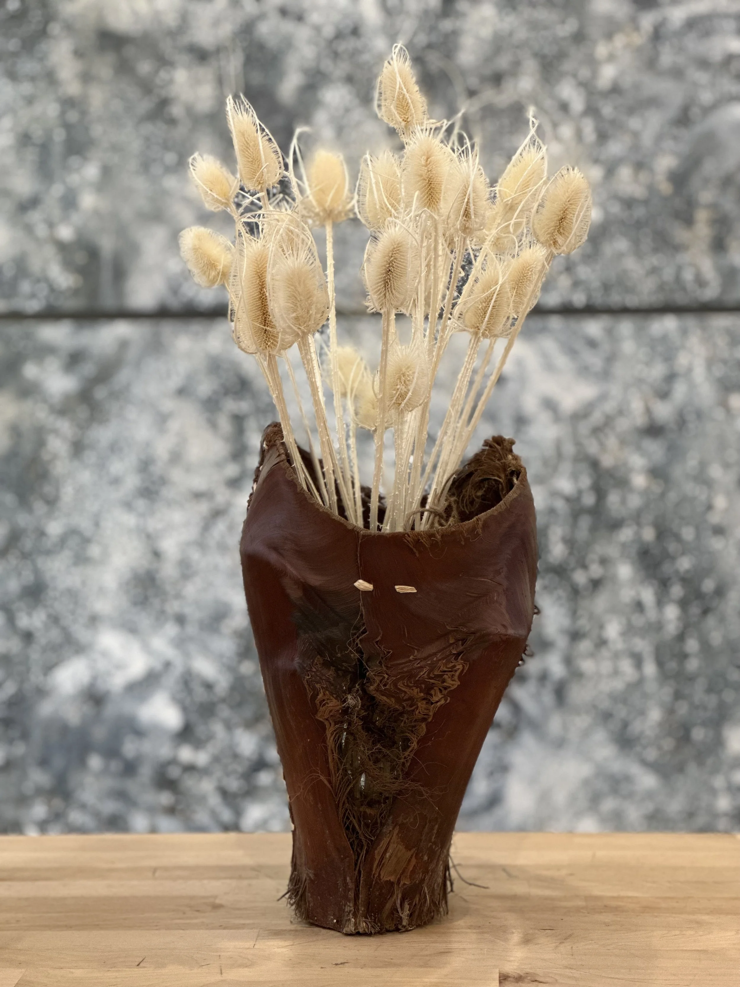 Close-up of dried plant with fuzzy seed heads held in a person's hand against a snowy background.