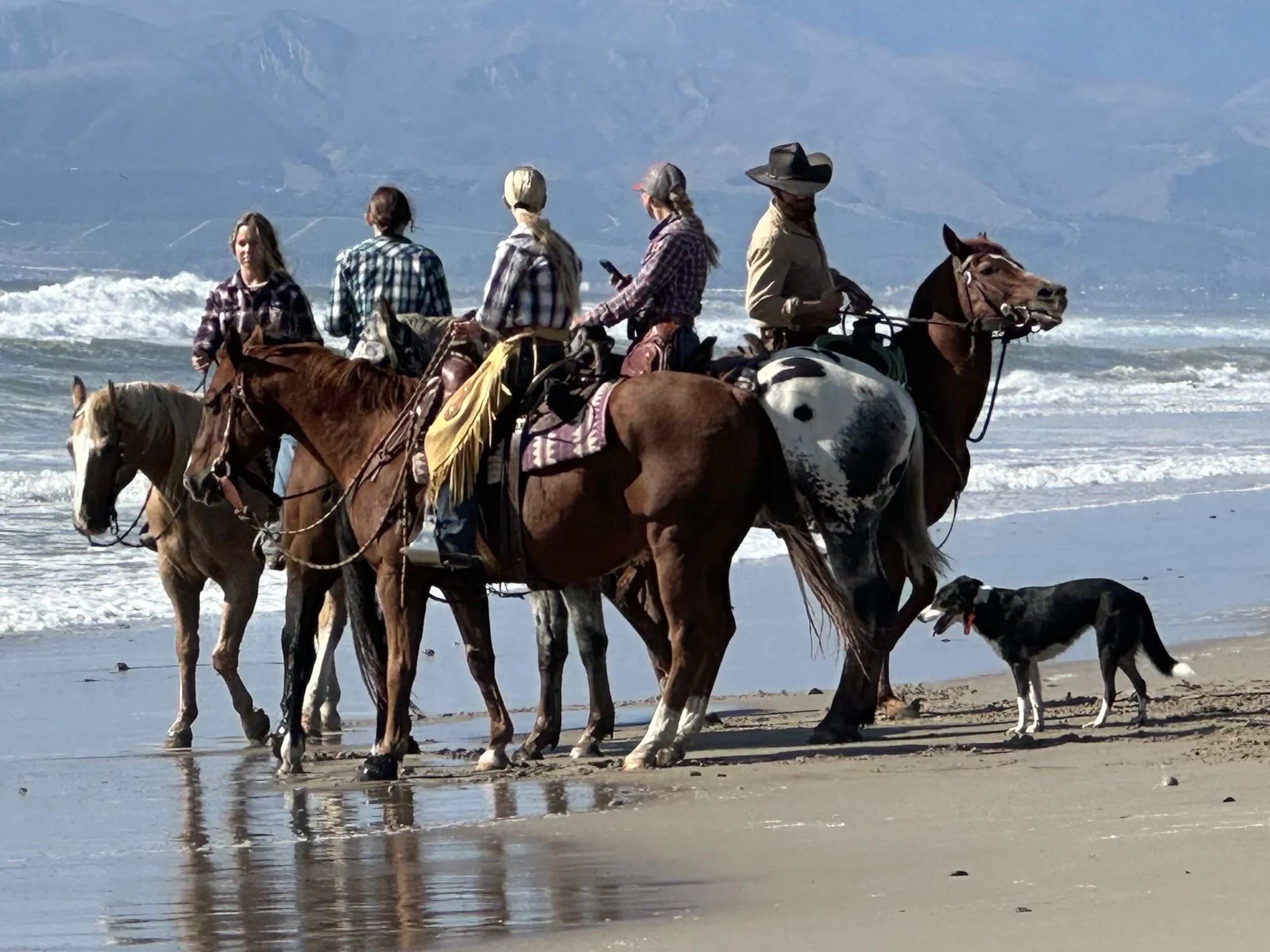 Group of people riding horses along the shoreline with waves and mountains in the background.