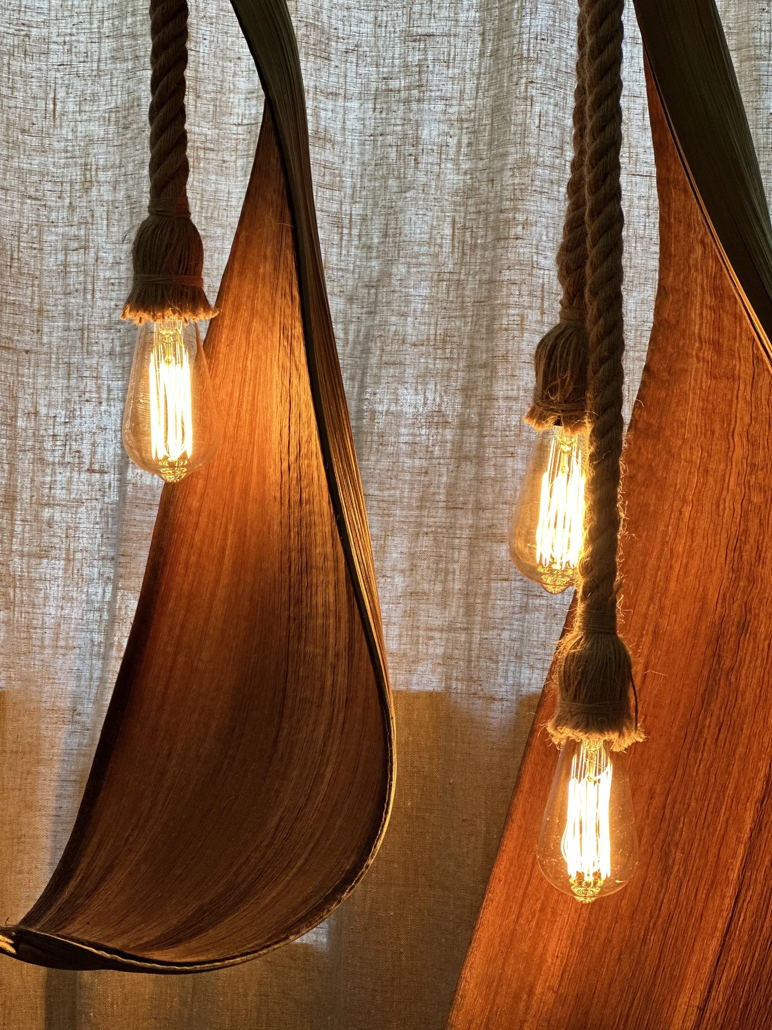 Close-up of hanging Edison-style light bulbs with warm glow, attached to thick braided cords, partially covered by flowing orange-brown curtains with a sheer backdrop.
