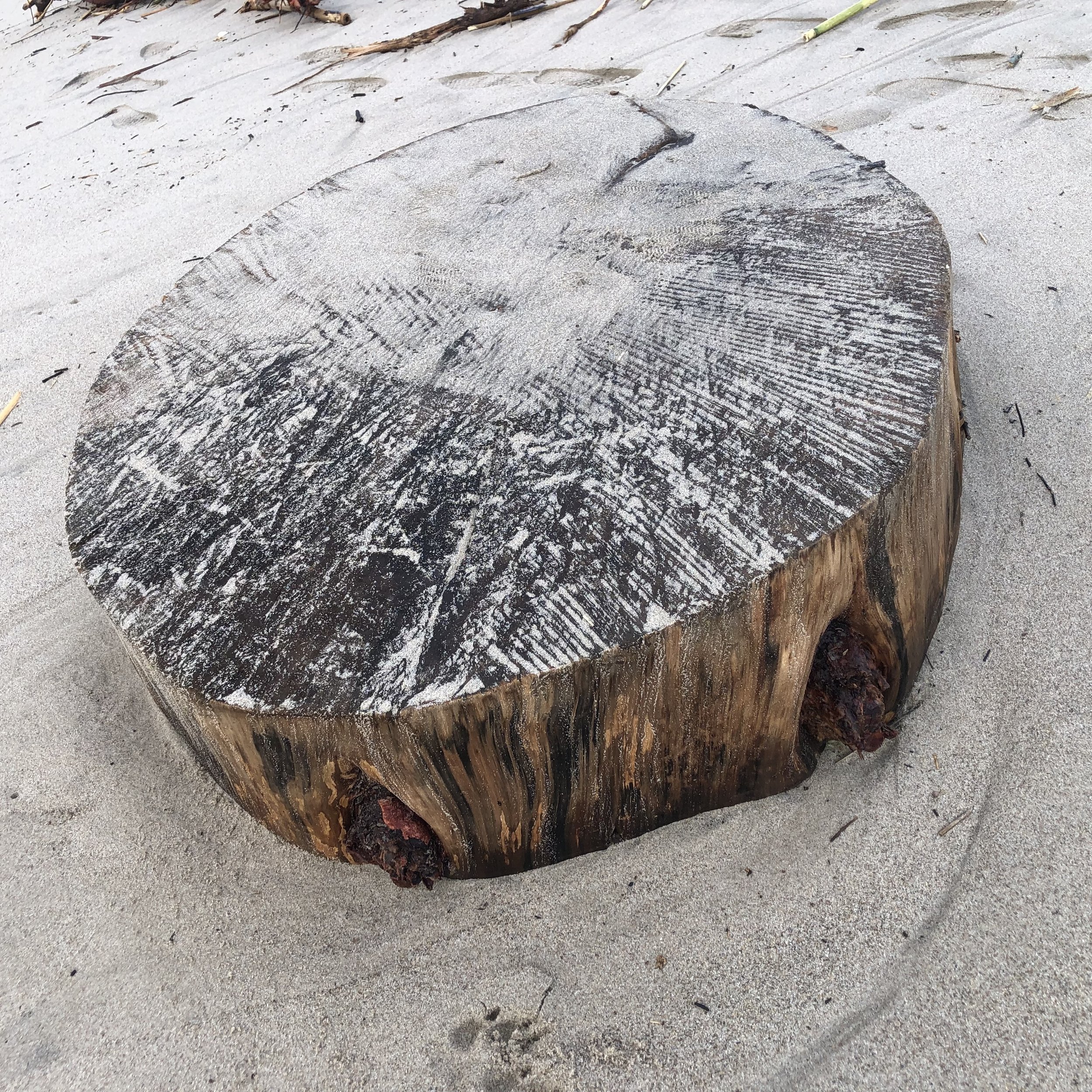 Close-up of a large piece of driftwood on a sandy beach, with footprints and small debris in the background.