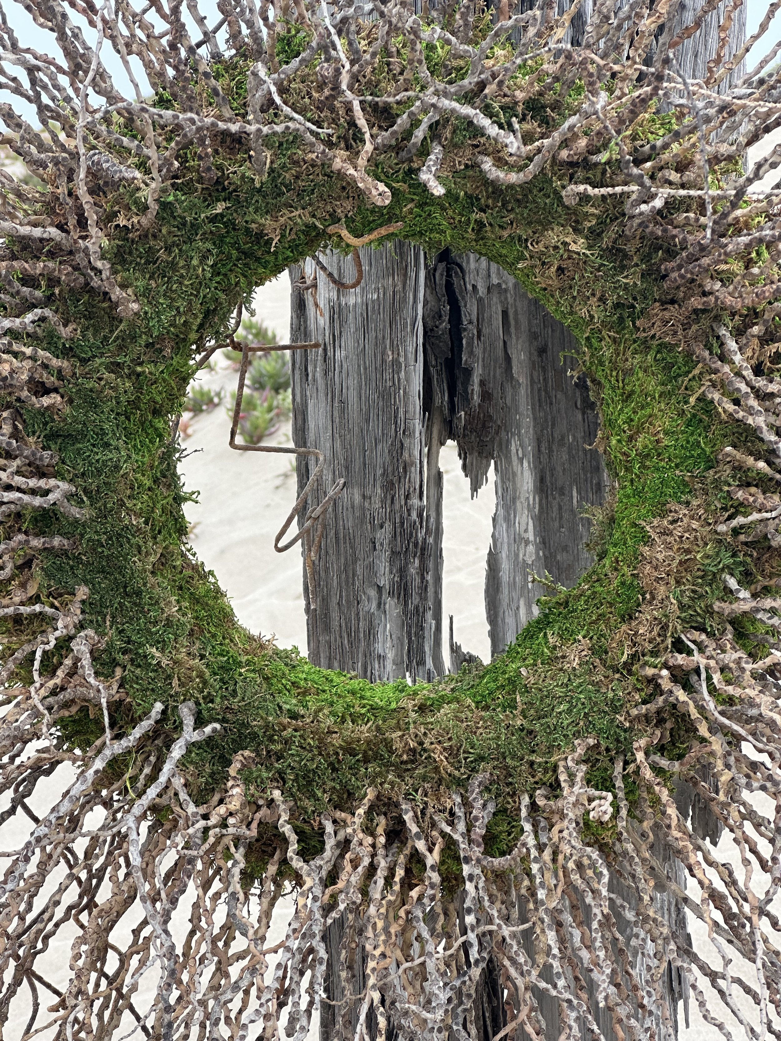 Close-up of a weathered wooden post with a circular frame made of intertwined twigs, moss, and small plants surrounding it.