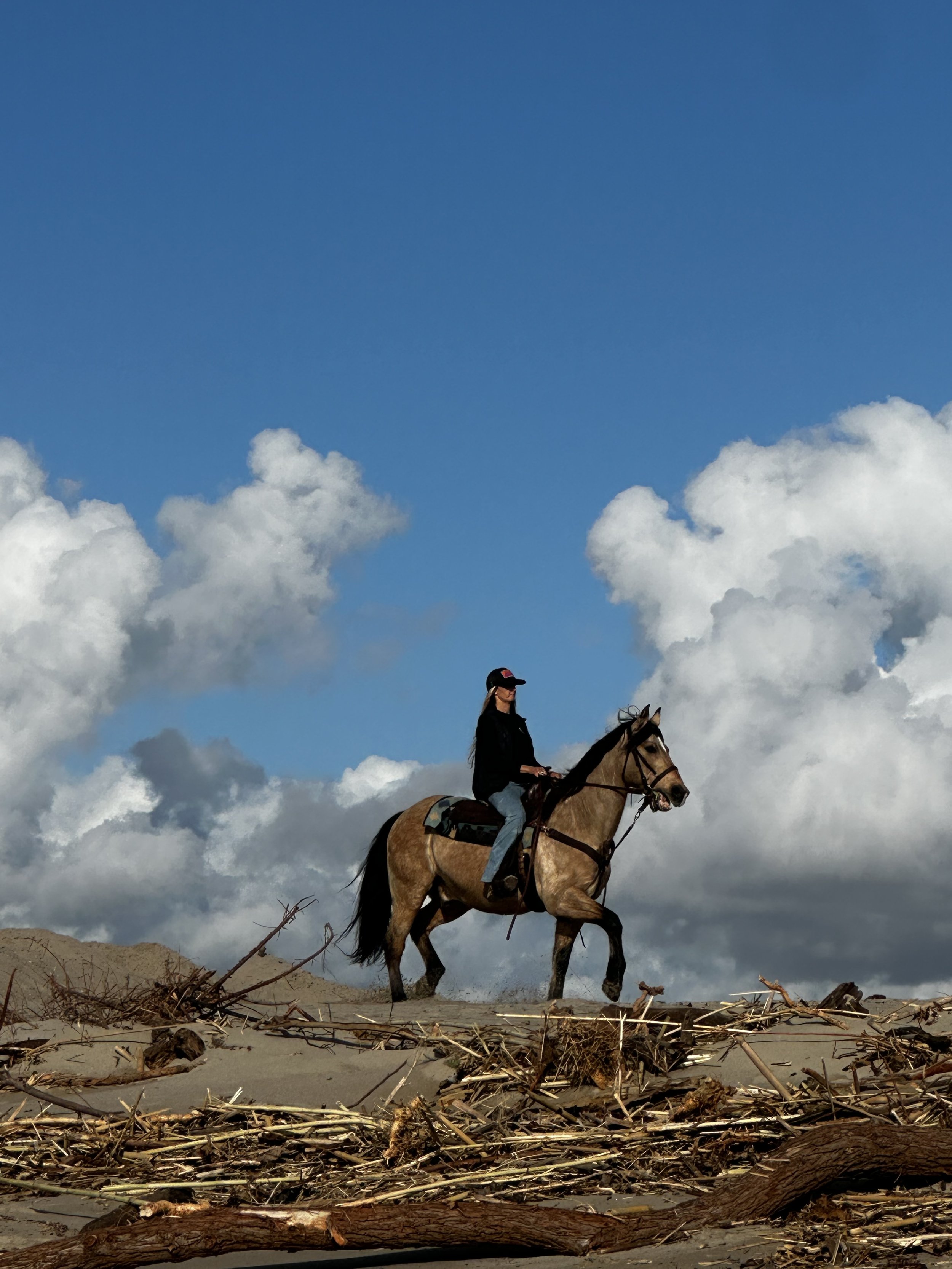 A person riding a horse across a beach with debris and driftwood, under a partly cloudy sky.