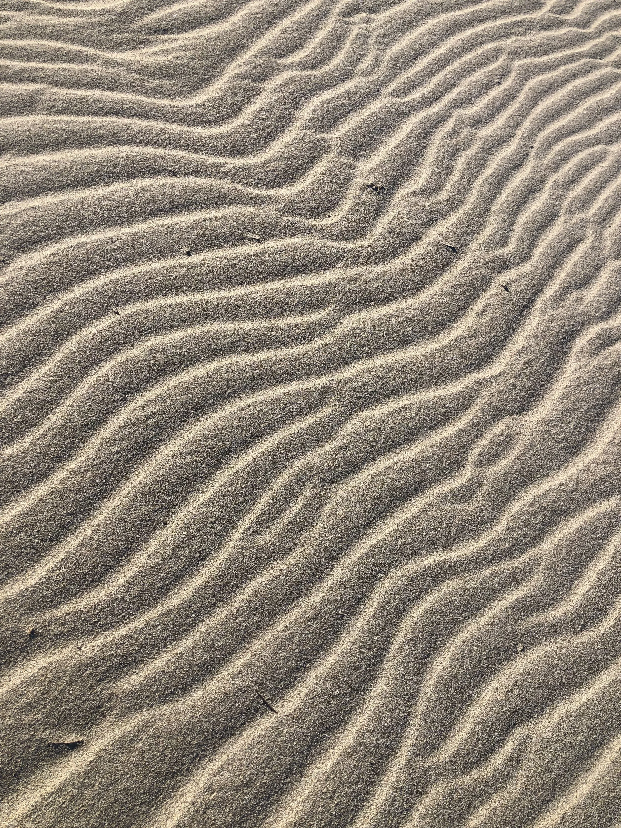 Close-up of sand with evenly spaced ripples, small scattered black debris, and few tiny black objects on the surface.