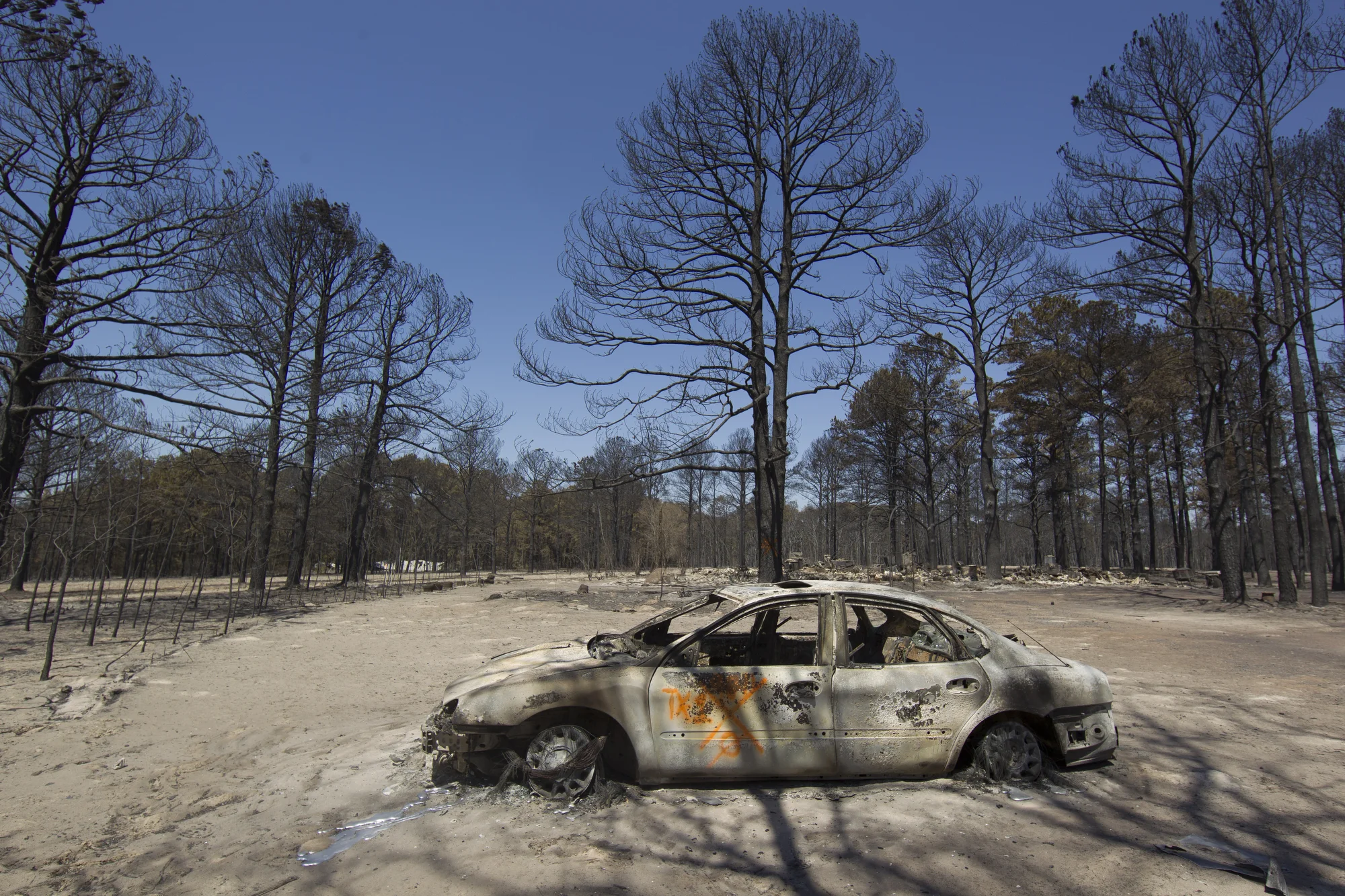 Bastrop Complex Fire aftermath, 2011  