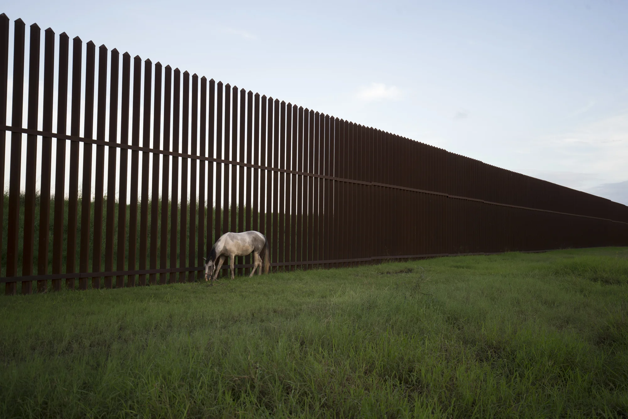 Border fence in Cameron County, TX
