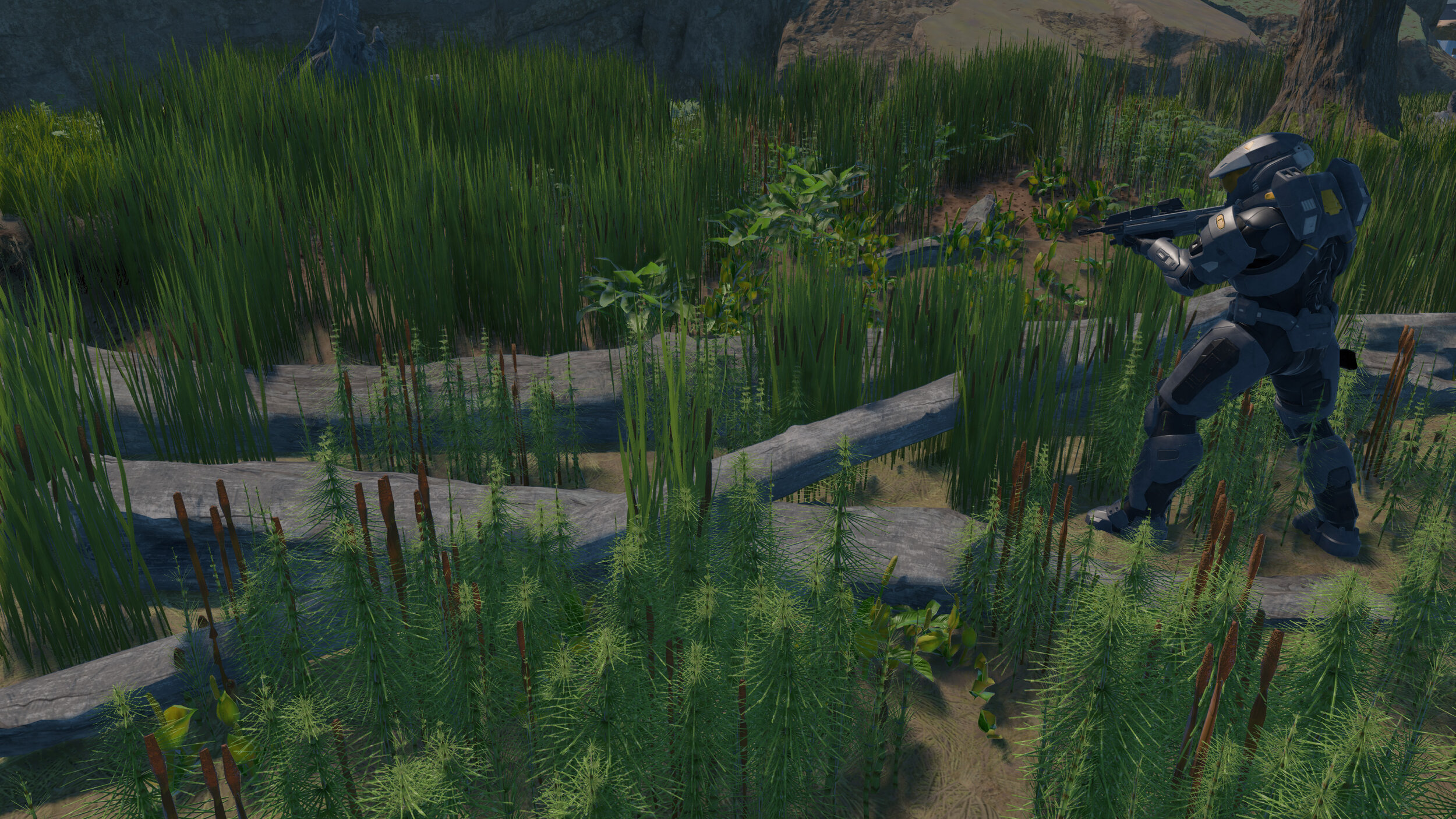 wetland foliage palette