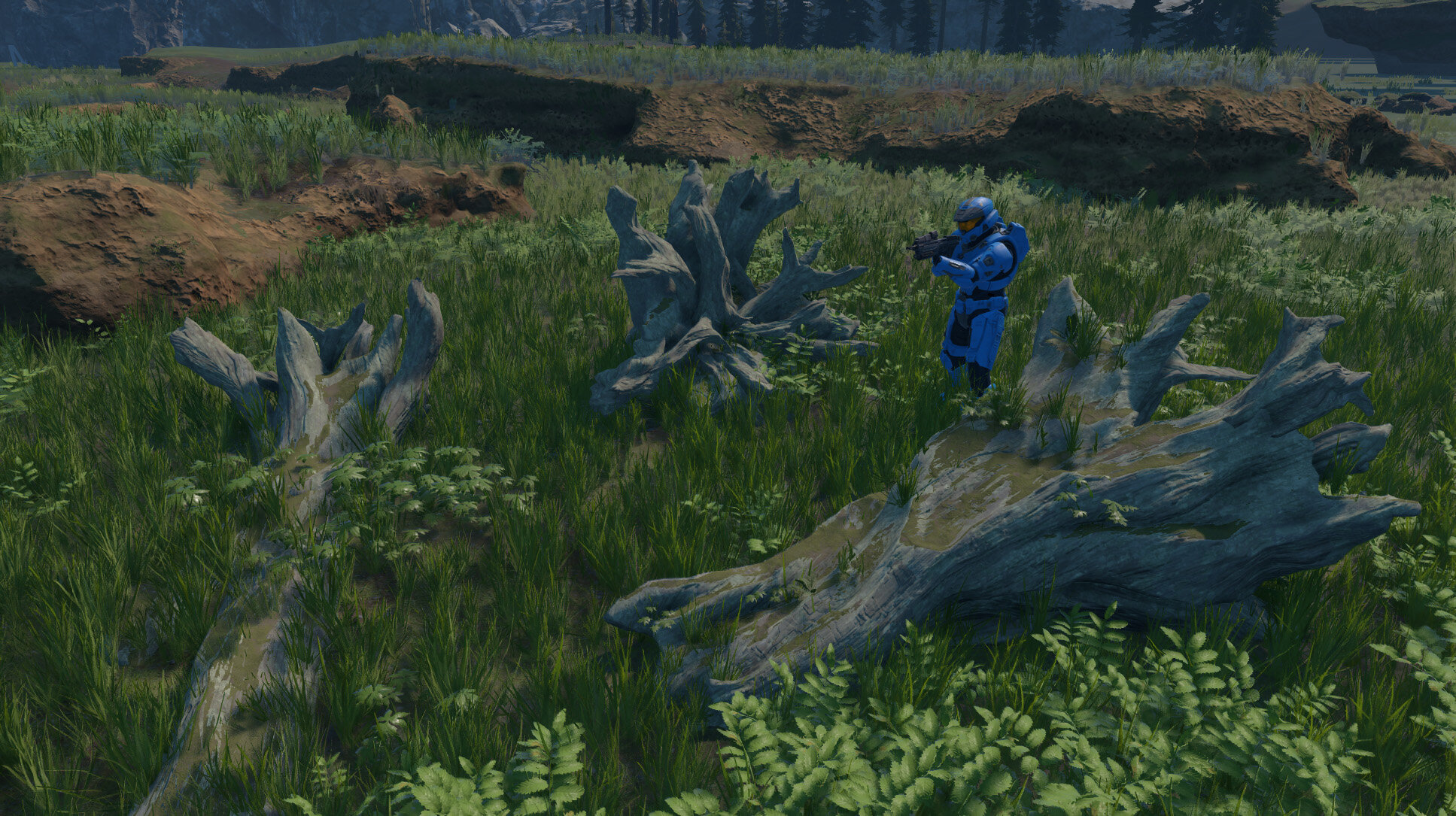 wetland palette integration