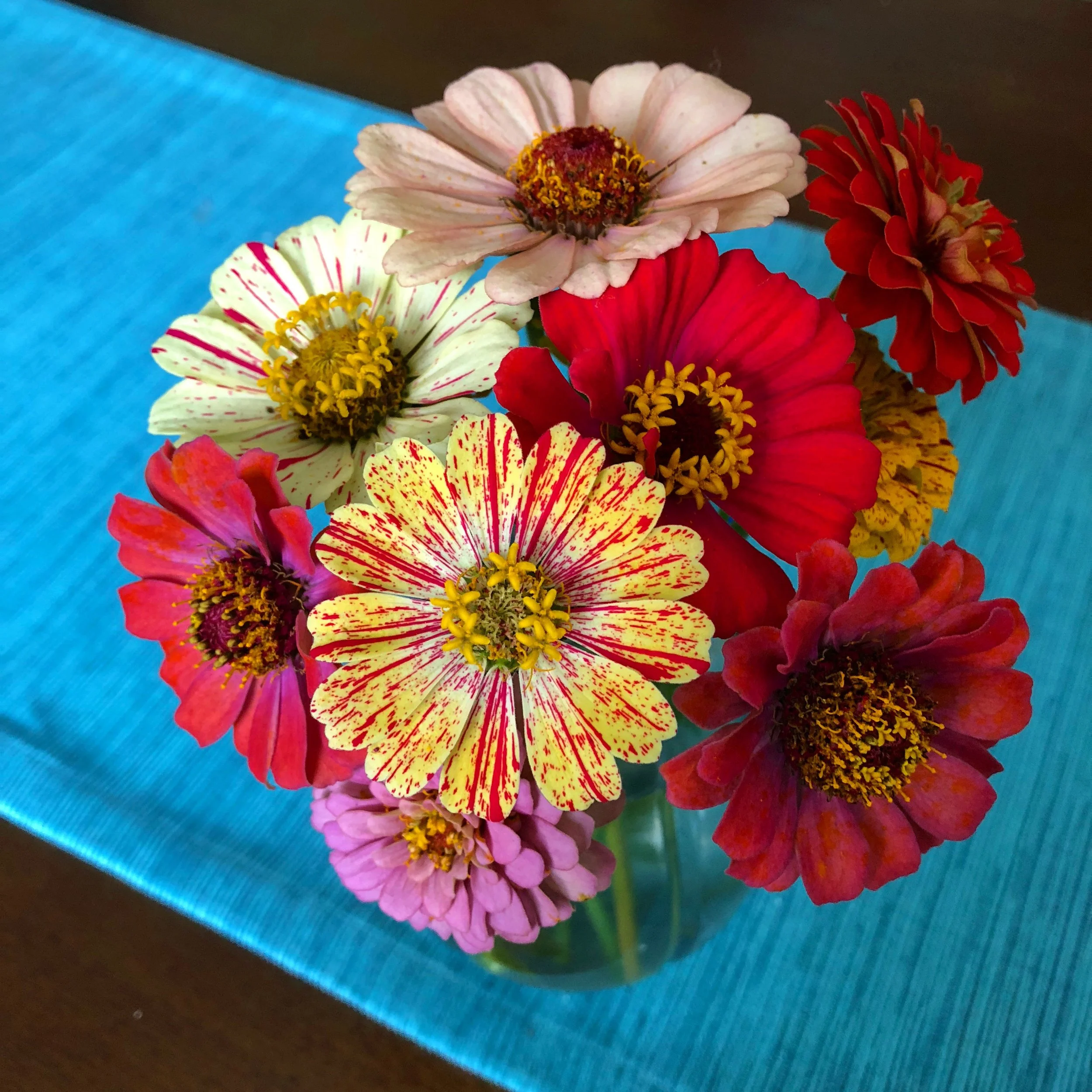 Zinnias: A New Annual Tradition