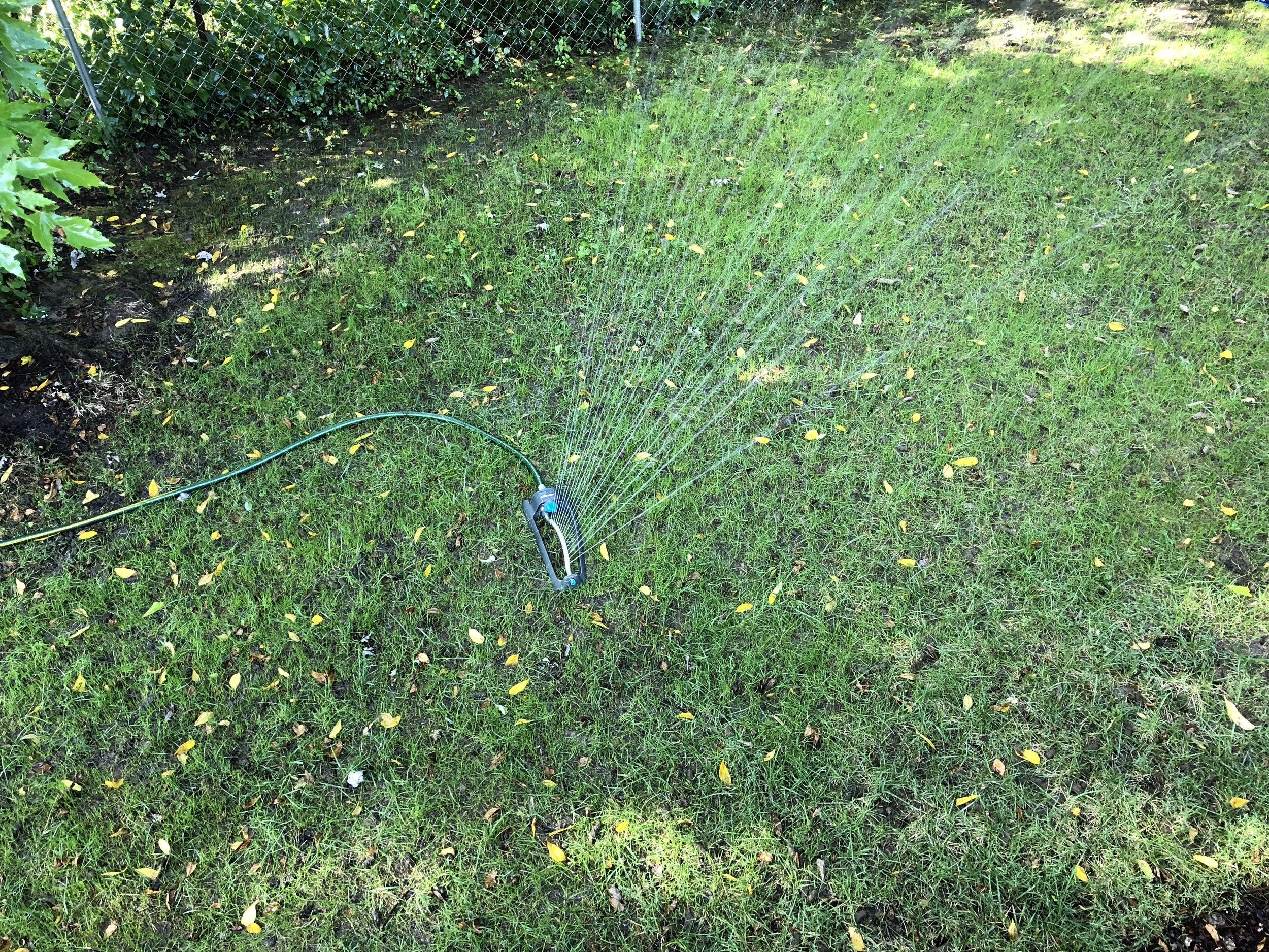 We Have Reached Peak Suburbia (or, We Finally Broke Down and Bought a Sprinkler)
