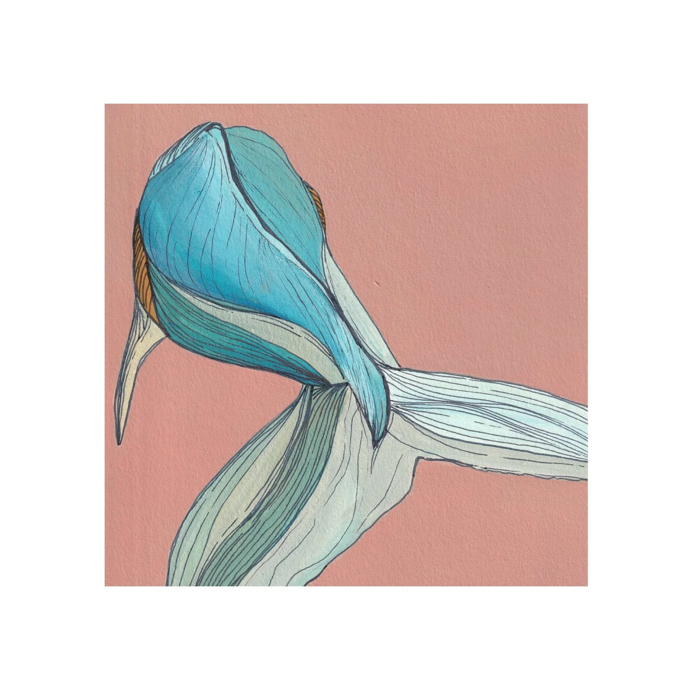 Sea Creatures - Whales 02.jpg