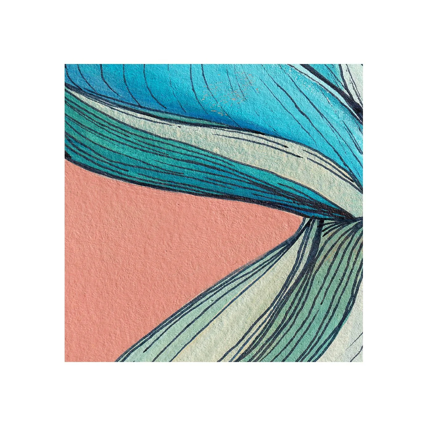 Sea Creatures - Whales 03.jpg