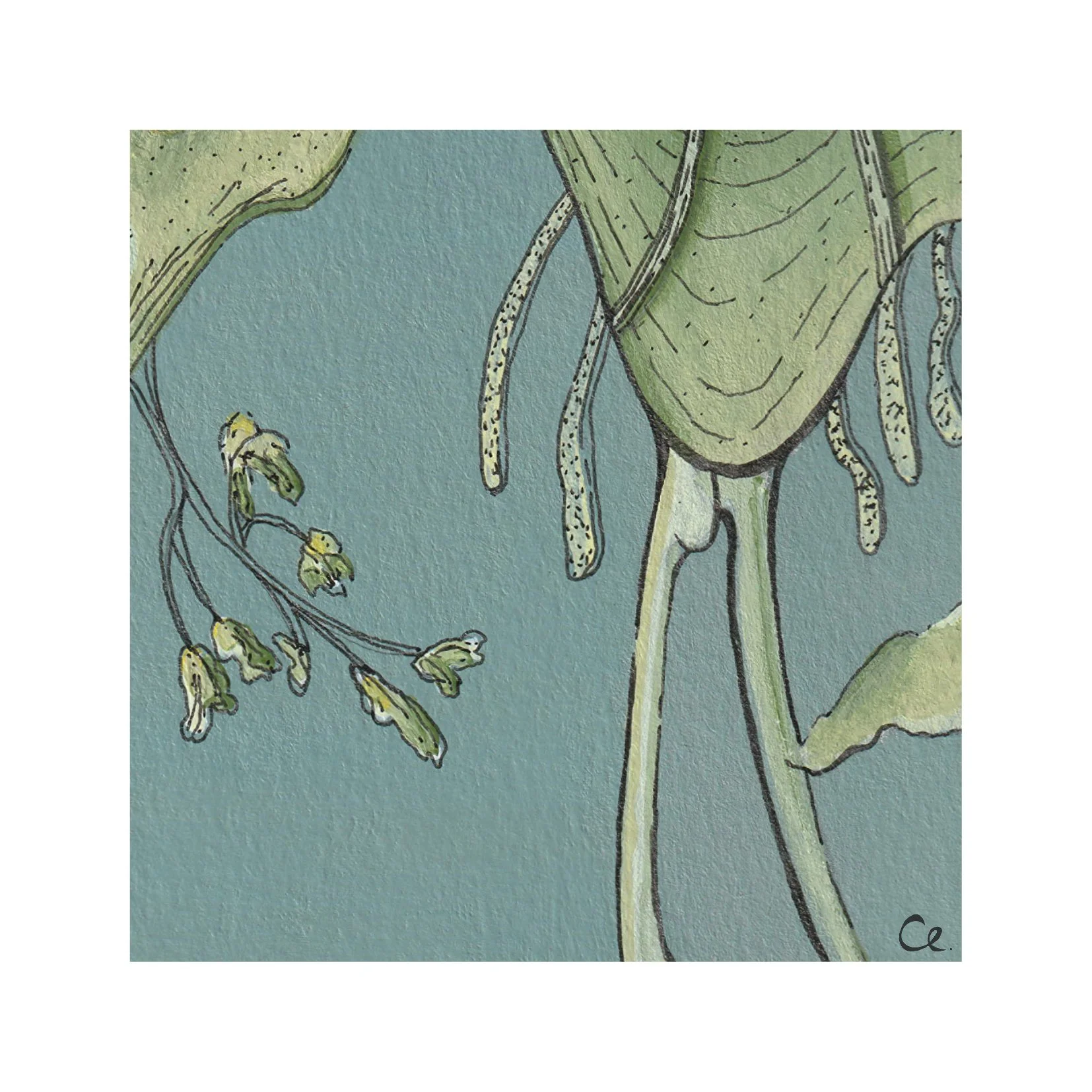 2024-02 sea creatures5.jpg