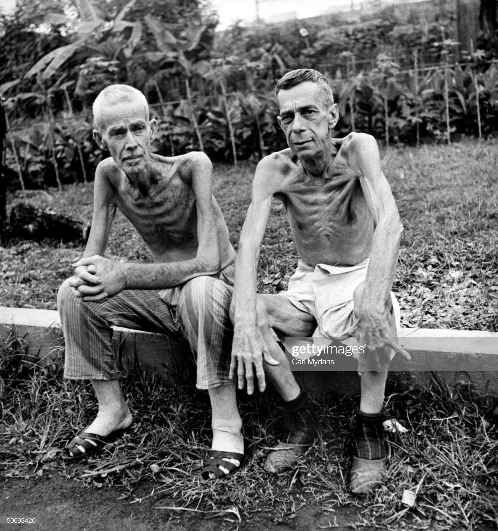 two-emaciated-american-civilians-lee-rogers-john-c-todd-sitting-a-picture-id50693420.jpg