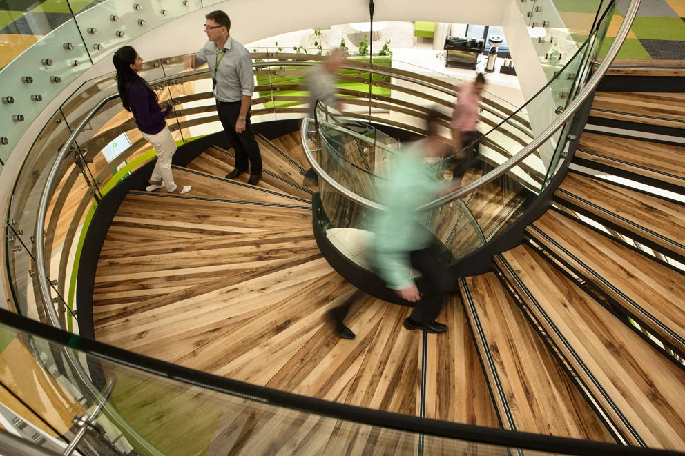 Curved Ballustrade,using black Beech, a sustainable New Zealand hardwood chosen for its raw, imperfect appearance and grain BP HQ, Newmarket