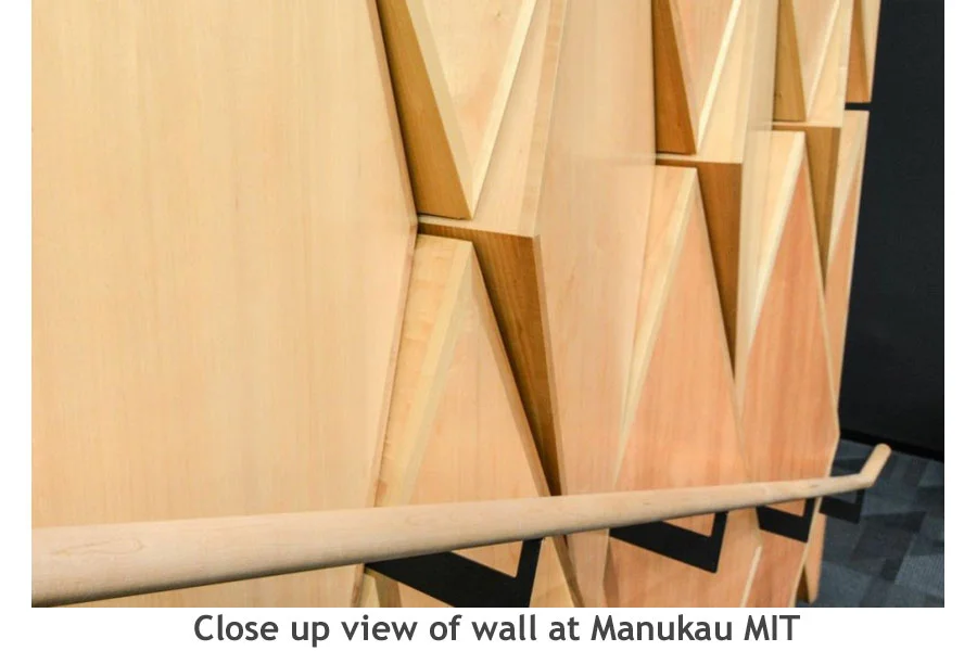Acoustic Panels.jpg