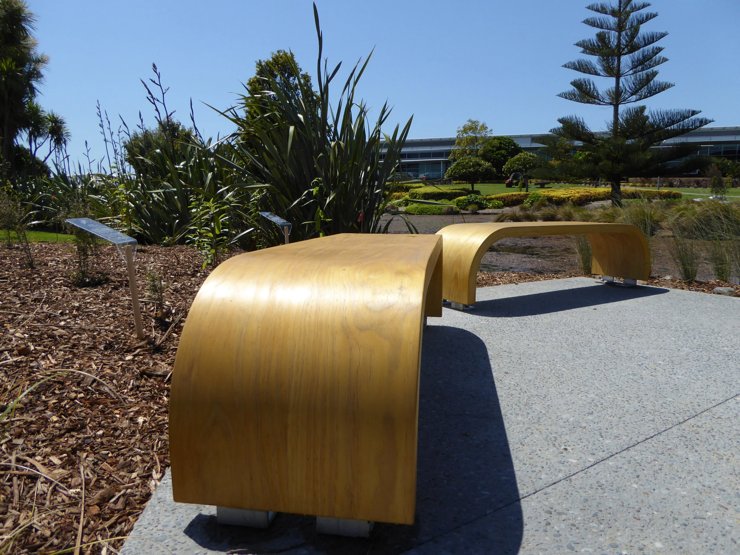 Curved Benches, East Tamaki