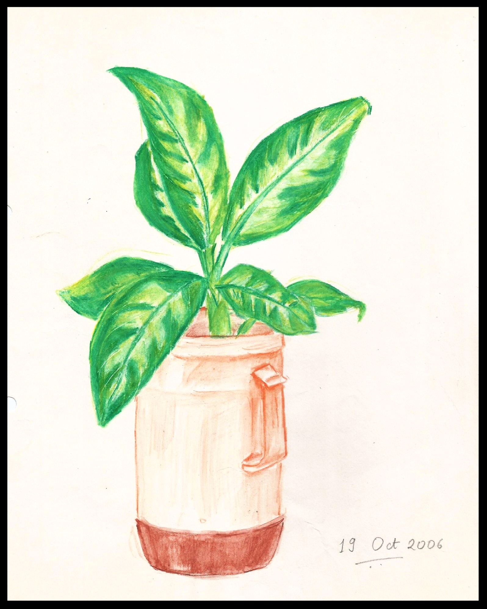 Still life in pencil color