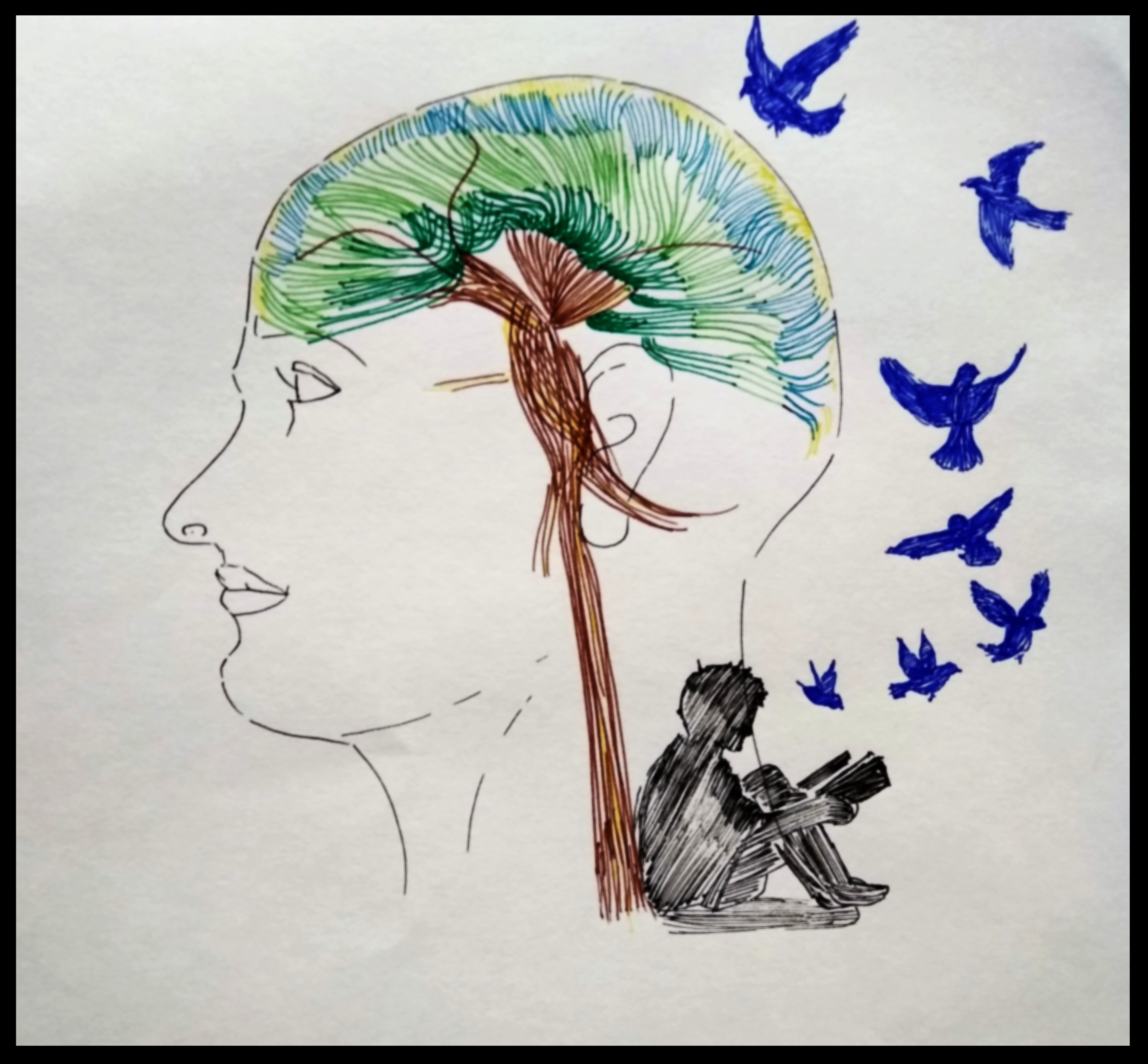 Visualizing the human connectome