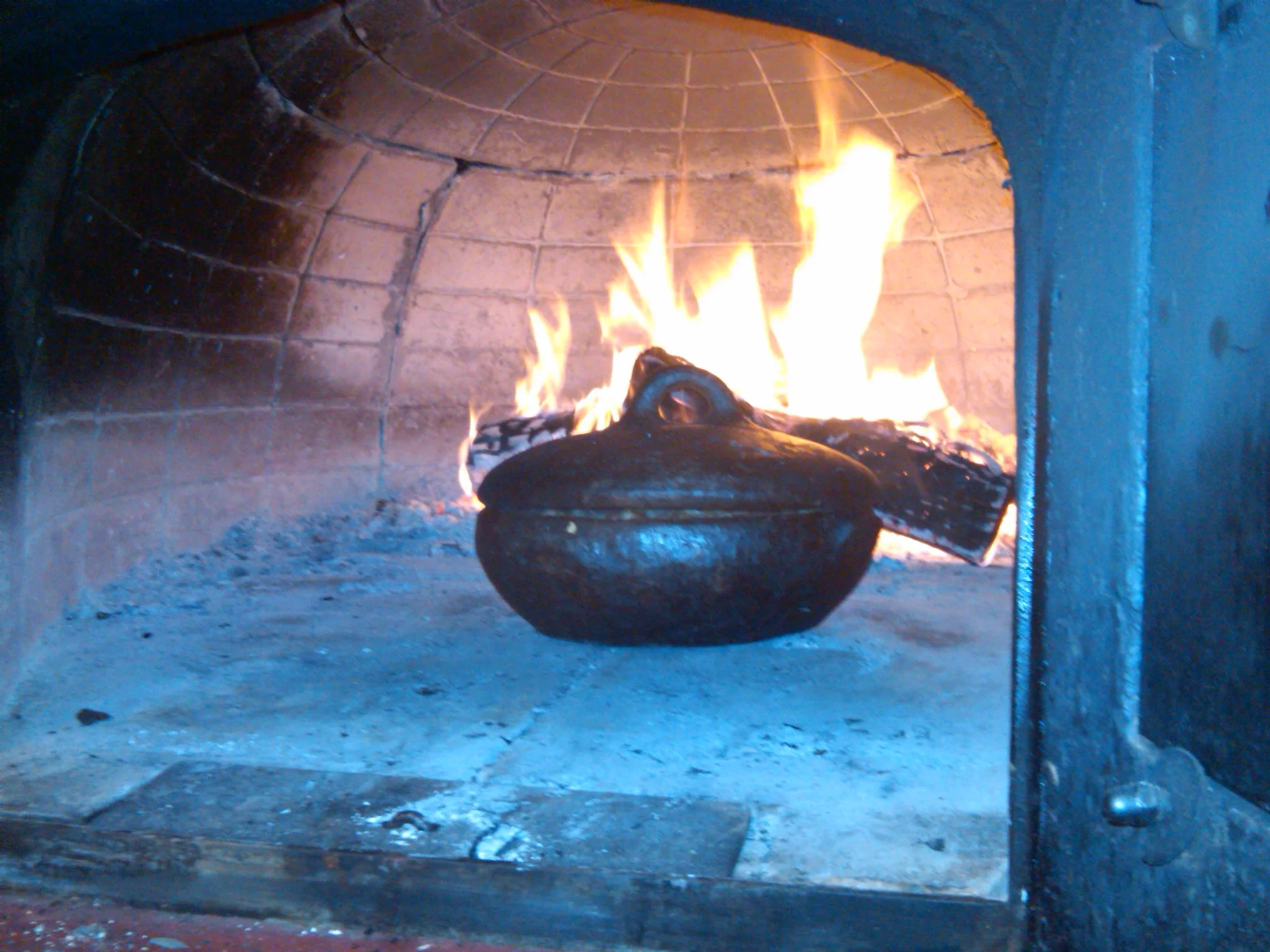 IMG00212-20110121-1326.jpg