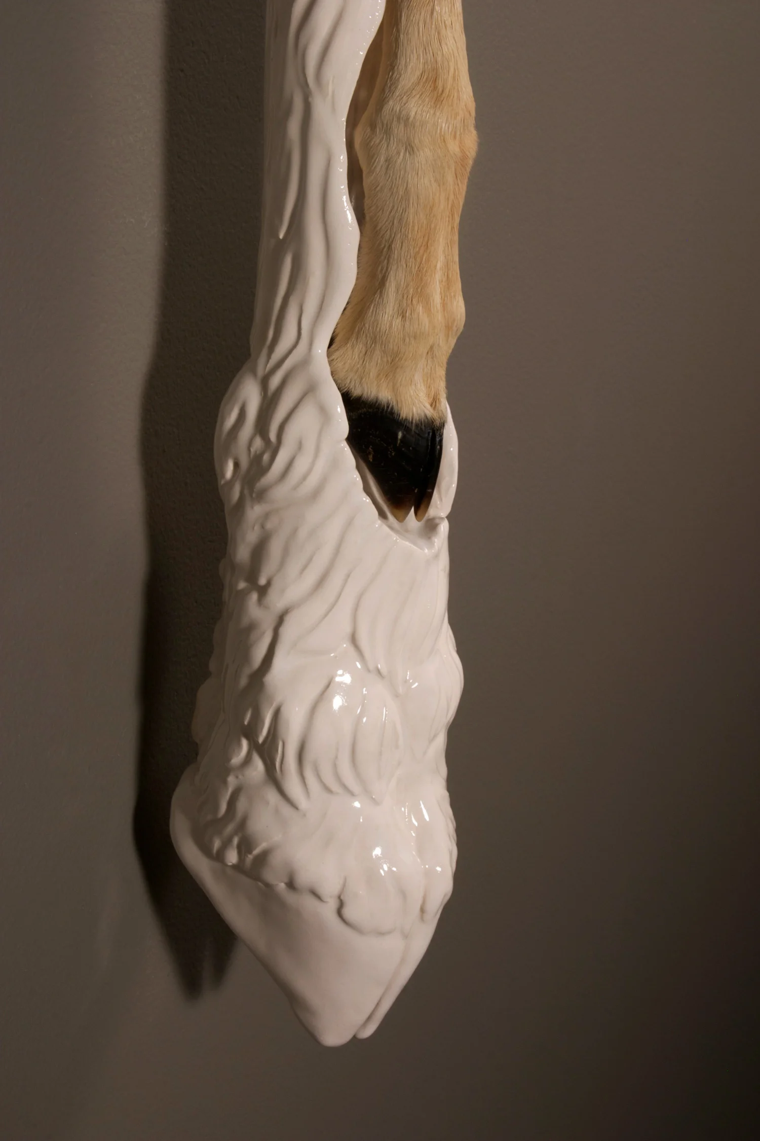 BABY ANTELOPE detail