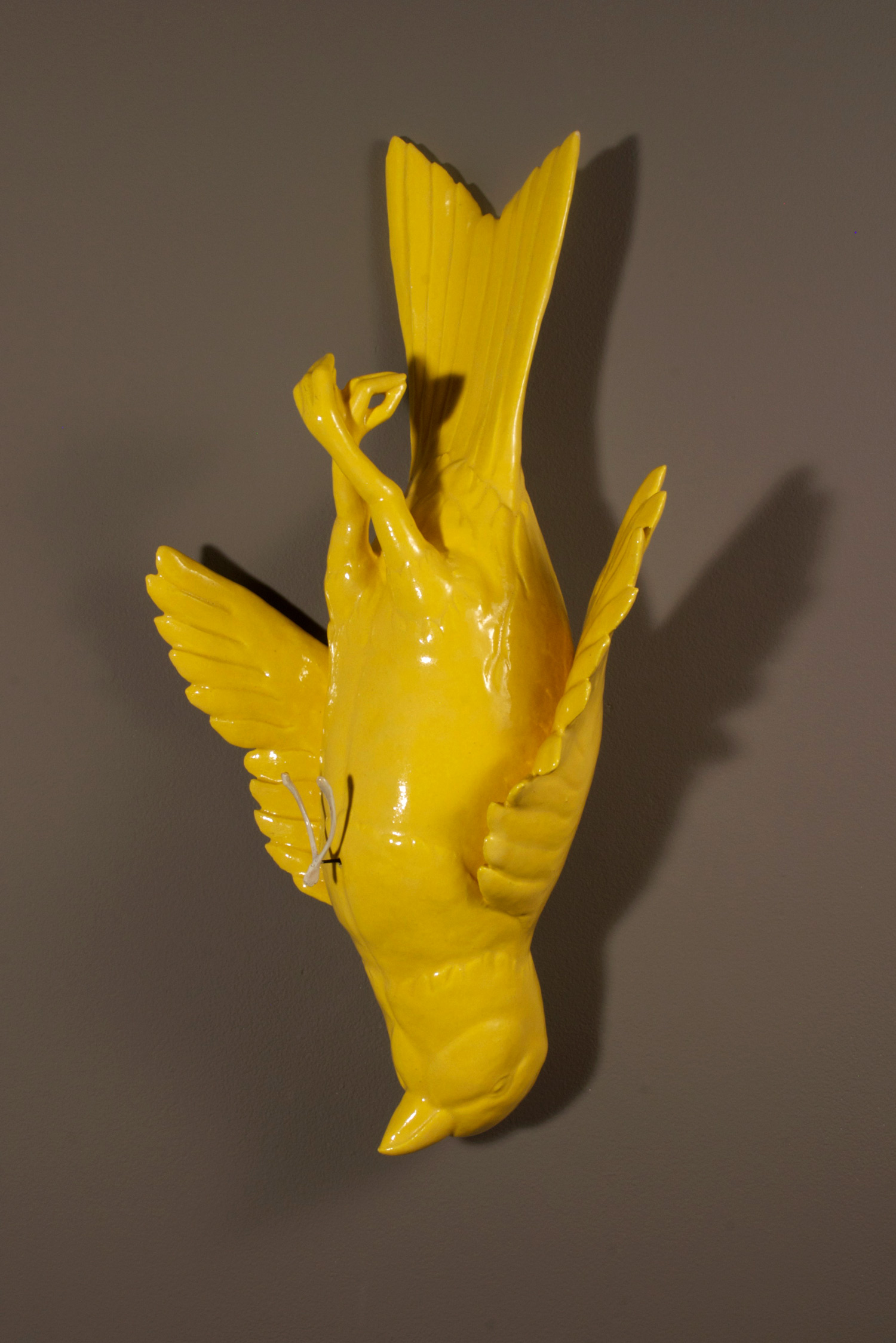CANARY