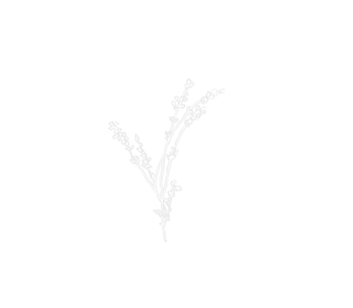 Graphic-2.png
