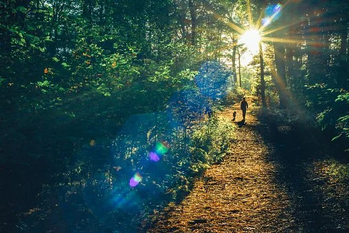 You Don't Always Have to Lead...    3 Lessons From MY Dog