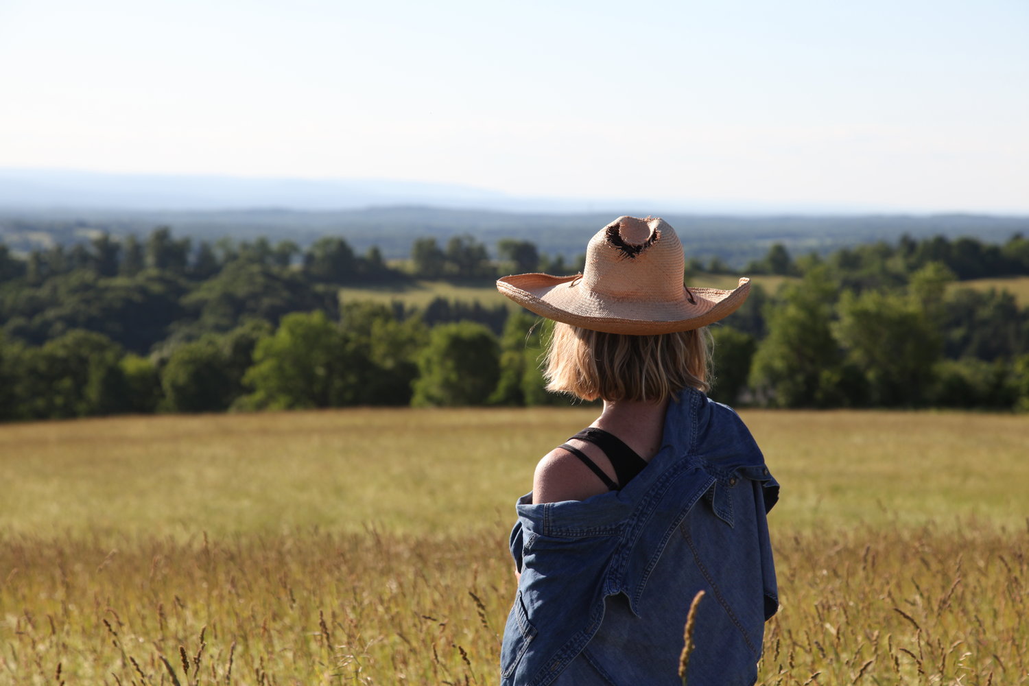 Place Corps on the Air | WAMC Interview with Co-founder Dawn Breeze