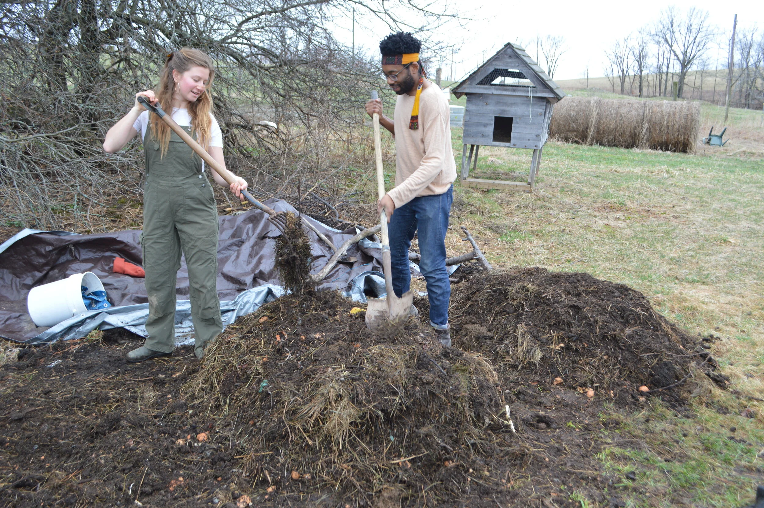 Place Corps Friday Digest: Coordination