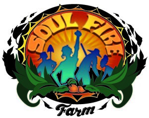 SOULFIRE_FINAL-color-shadow-text-300x238.jpg