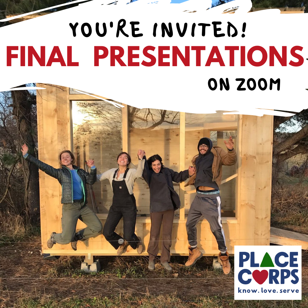 Place Corps Friday Digest: Economy