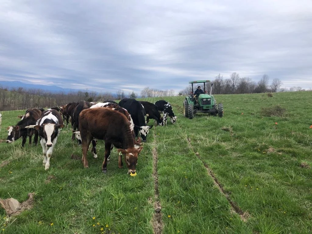 Place Corps Friday Digest: Unfurl