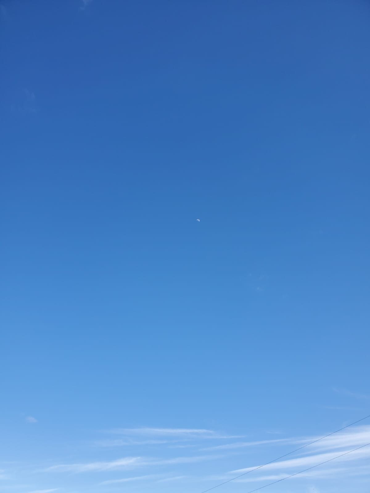 Emergent Strategy 3: Self Directed Residency