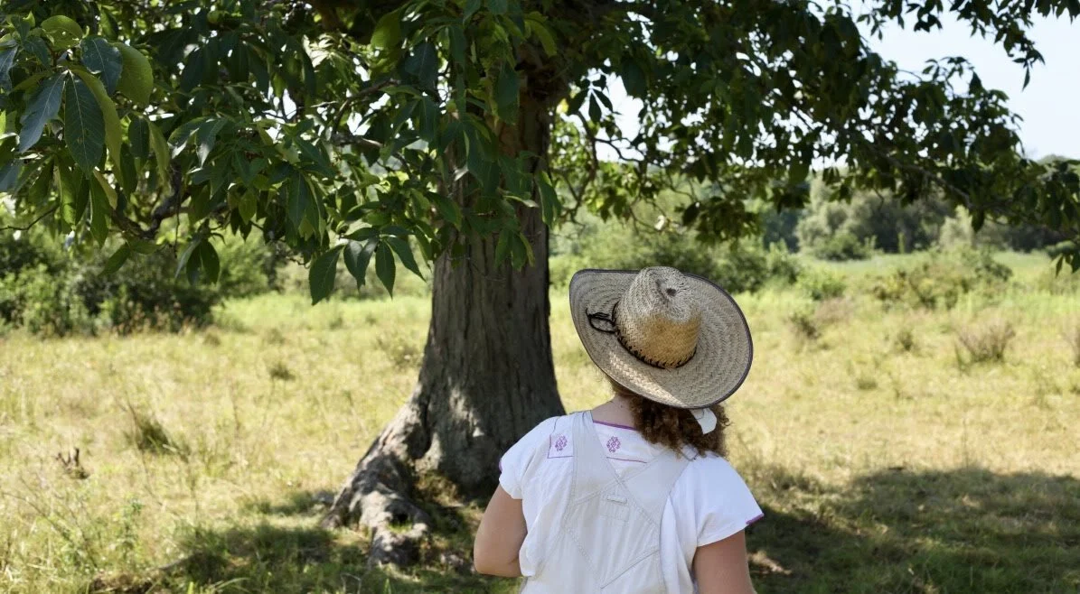 August Transitions: A Time of Change