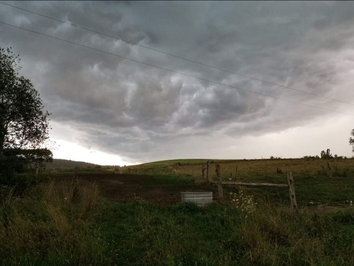 '20 Resident Jordan Williams featured in Institute for Mindful Agriculture