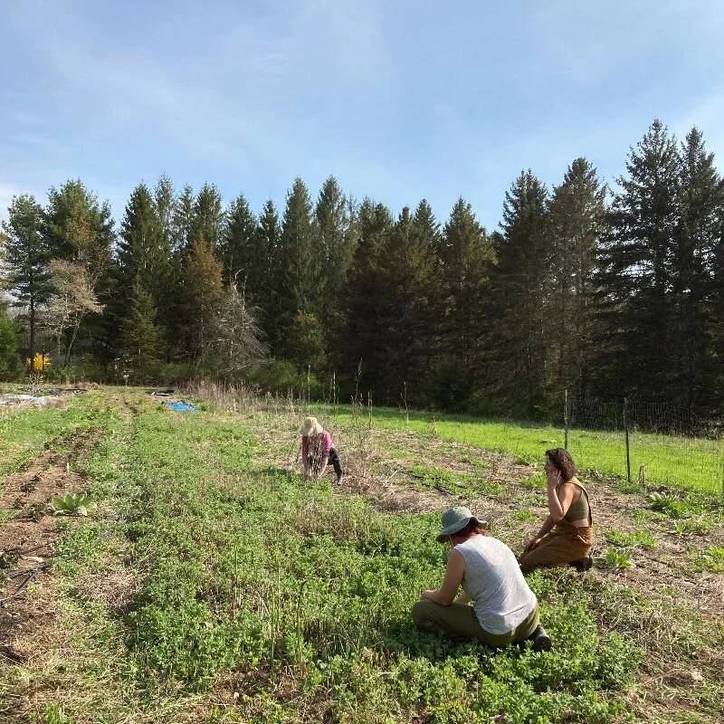 Place Corps in the Field at Deer Creek Collective in Accord, NY