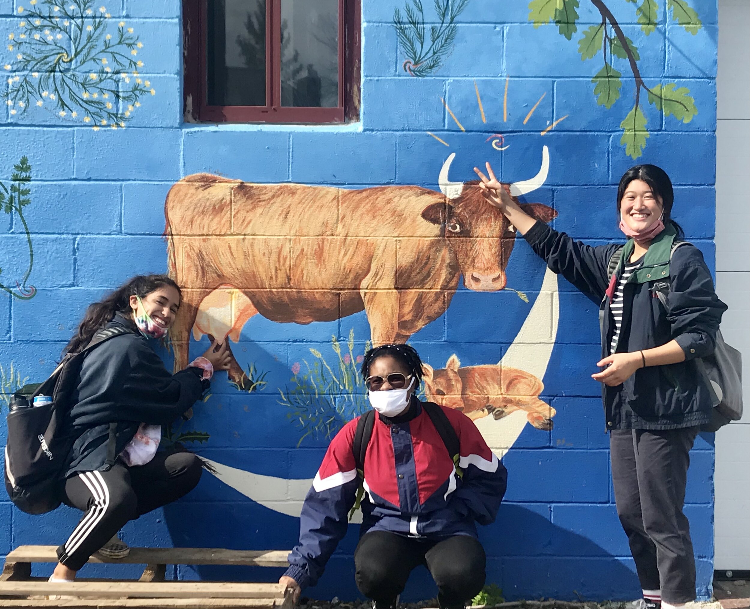Place Corps Design Interns Jessica Alonso, Ava Guralnick, and Briana Gary visiting Hawthorne Valley